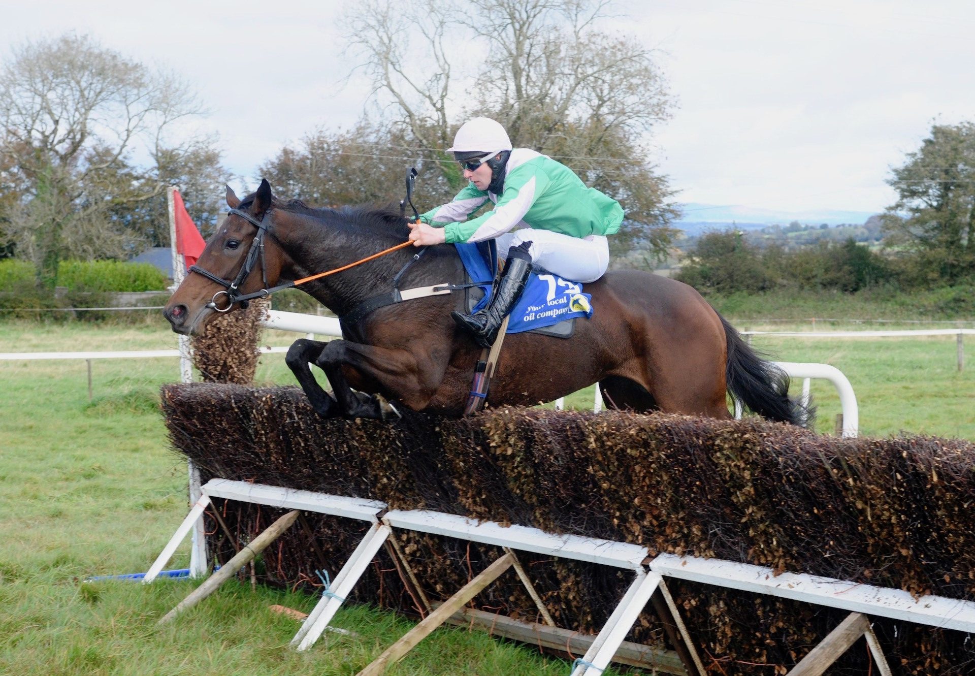 Kilbarry Leader (Leading Light) Wins The 4YO Mares Maiden At Dromahane