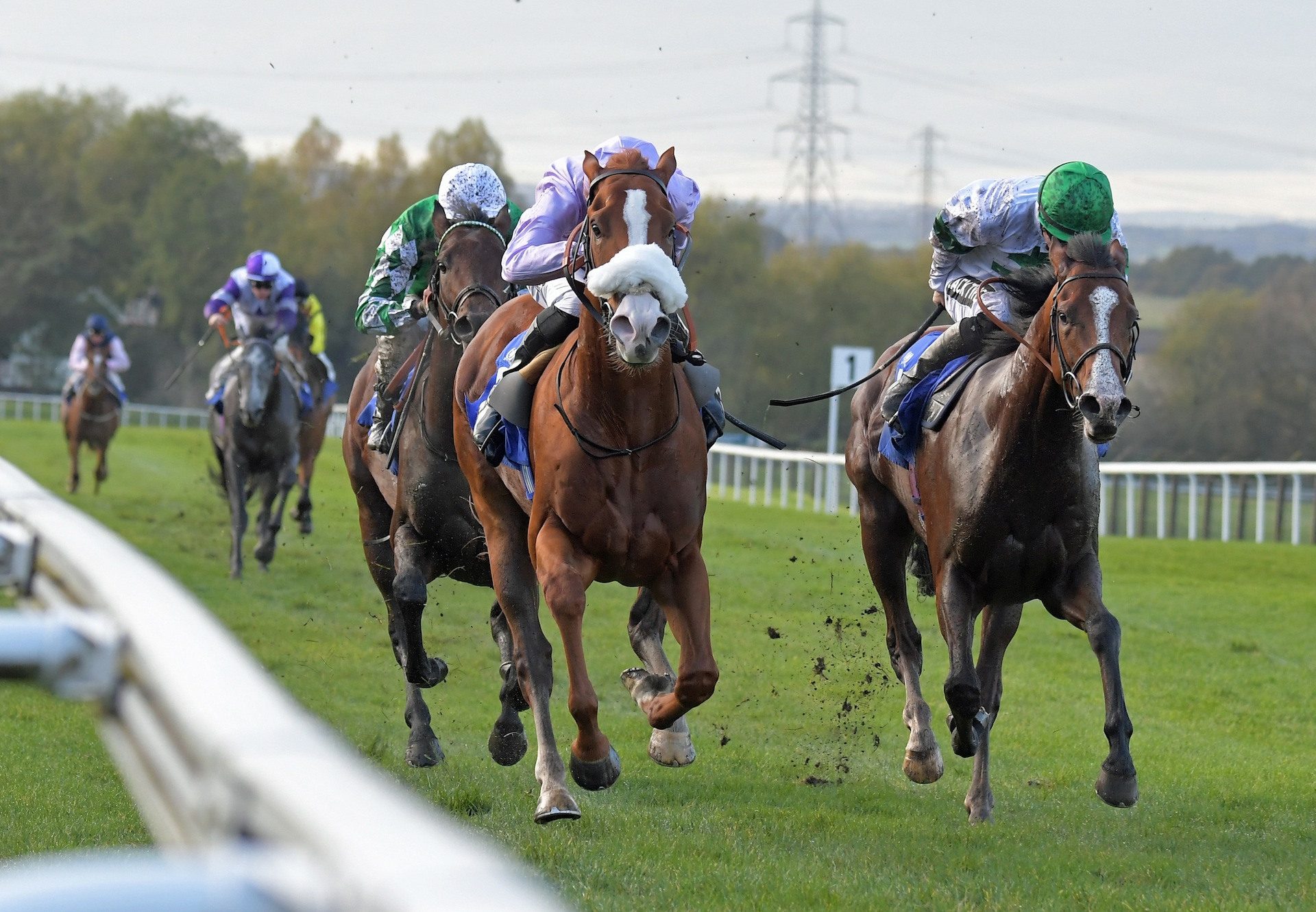 King Carney (Australia) Wins The Listed Silver Tankard Stakes at Pontefract