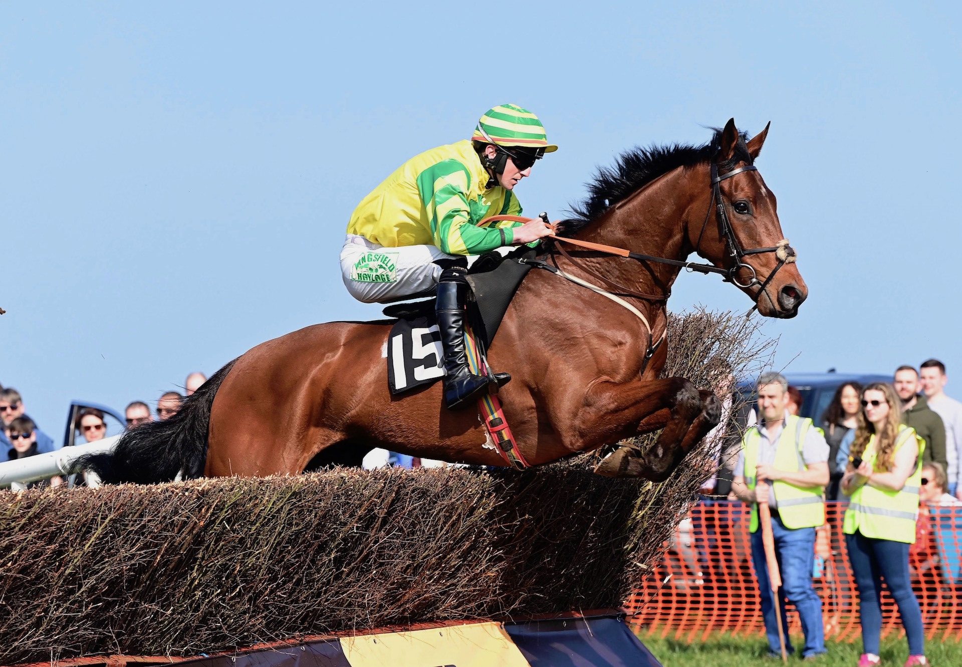 King Of Kingsfield (Vadamos) Wins The 4YO Maiden At Portrush