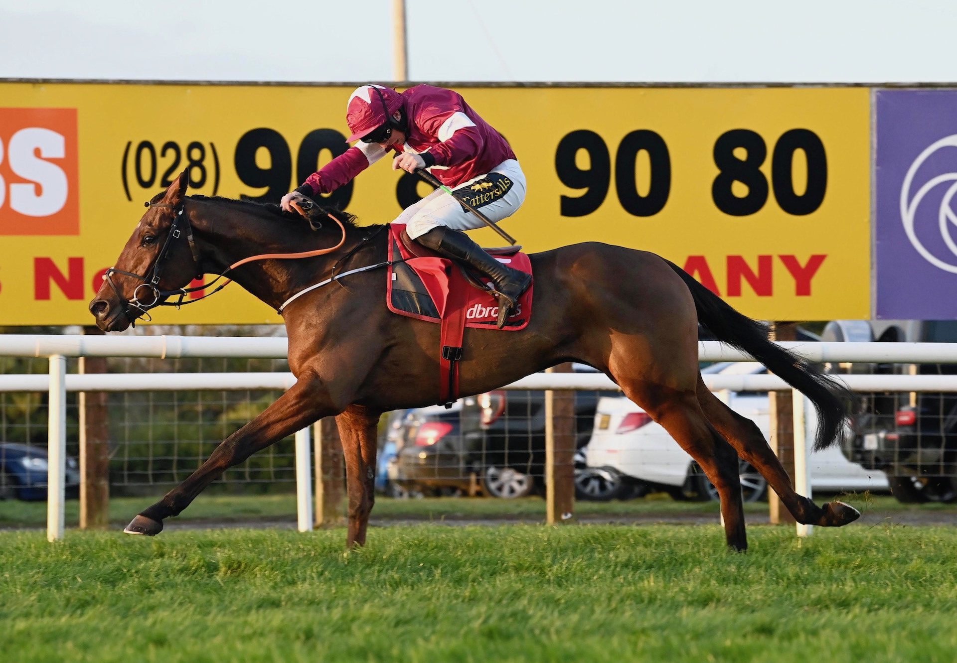 King Of Kingsfield (Vadamos) Wins The Bumper At Down Royal