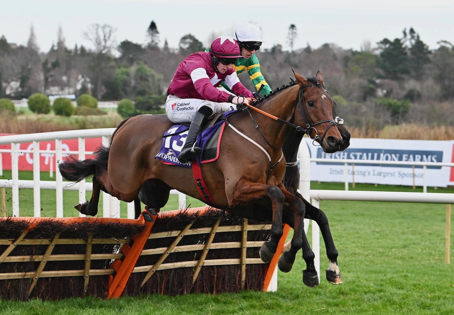 King Of Kingsfield (Vadamos) Wins The Maiden Hurdle At Leopardstown