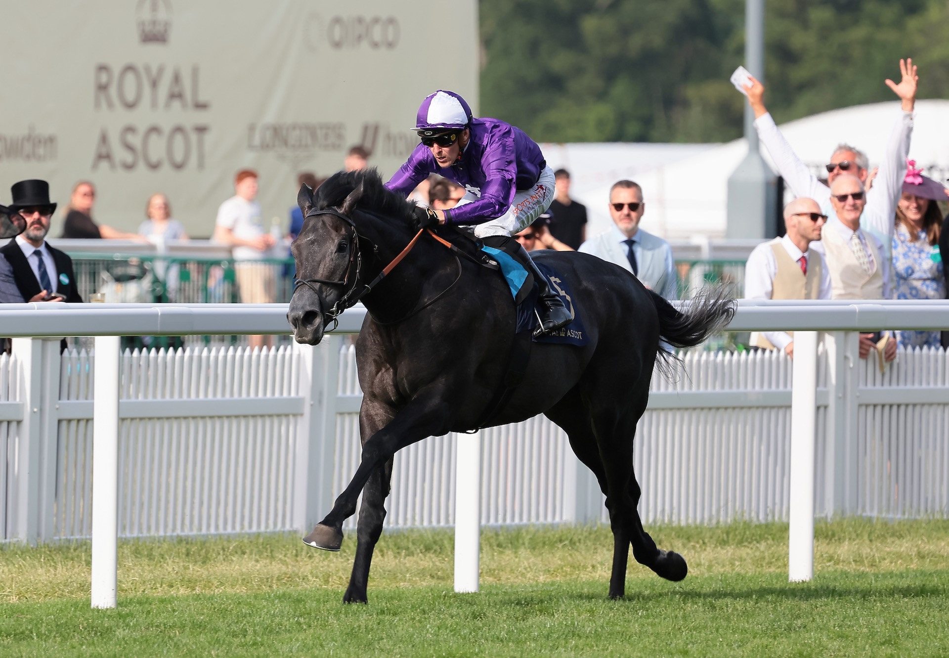 King Of Steel (Wootton Bassett) Wins The Group 2 King Edward VII Stakes at Royal Ascot
