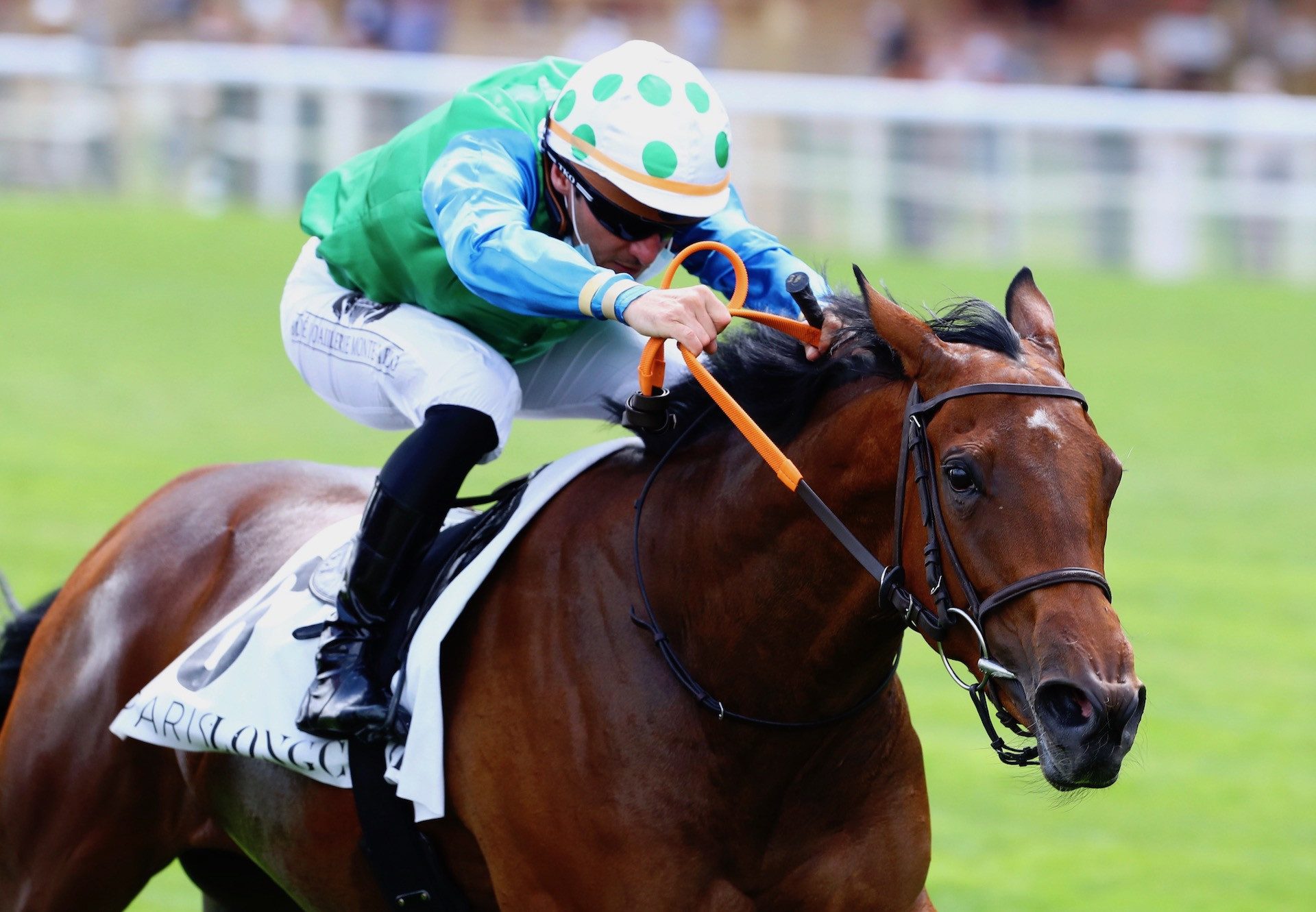 Kings Harlequin (Camelot) Wins The Listed Prix Roland De Chambure at Longchamp