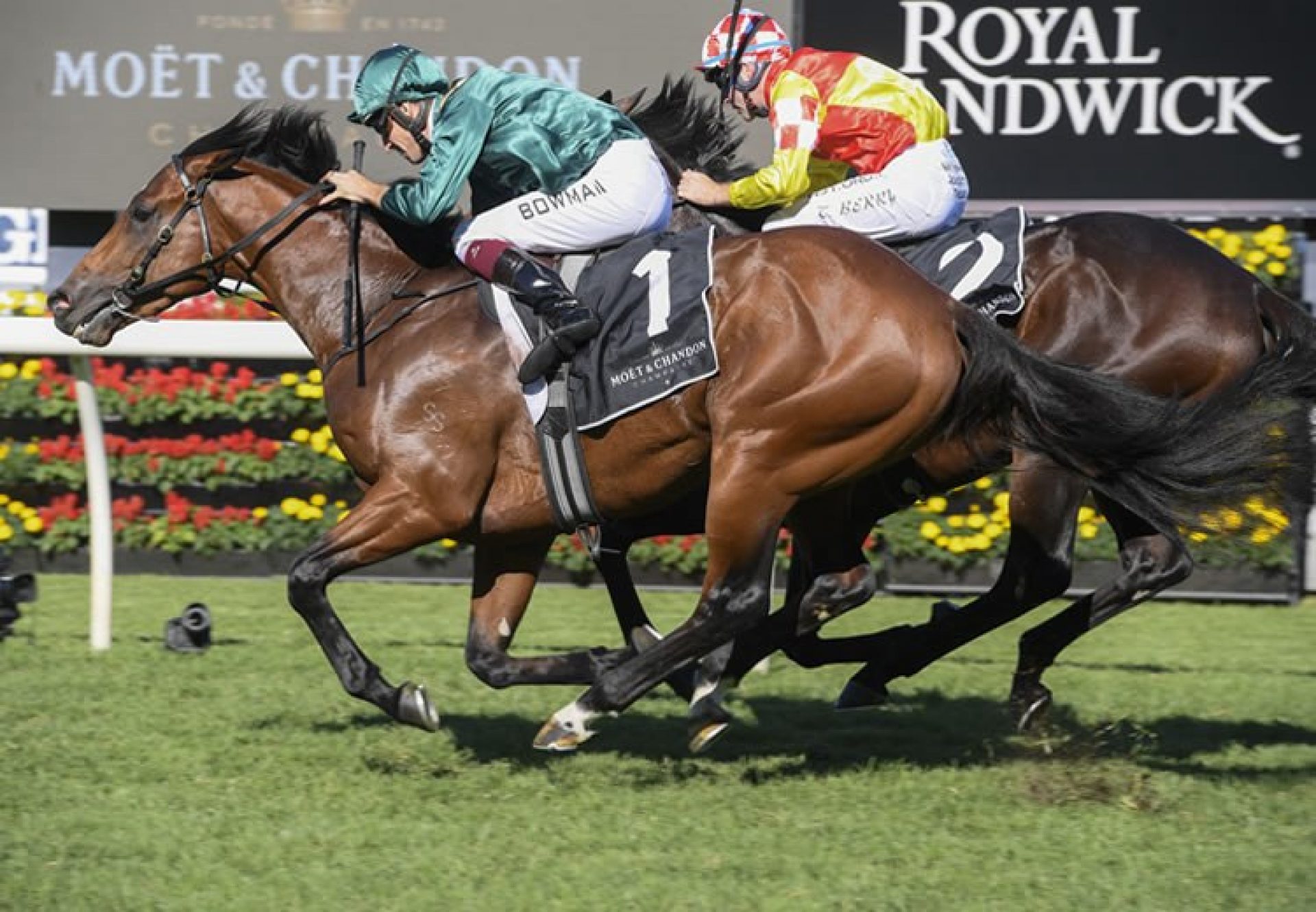 Kings Legacy winning the Gr.1 Champagne Stakes at Randwick
