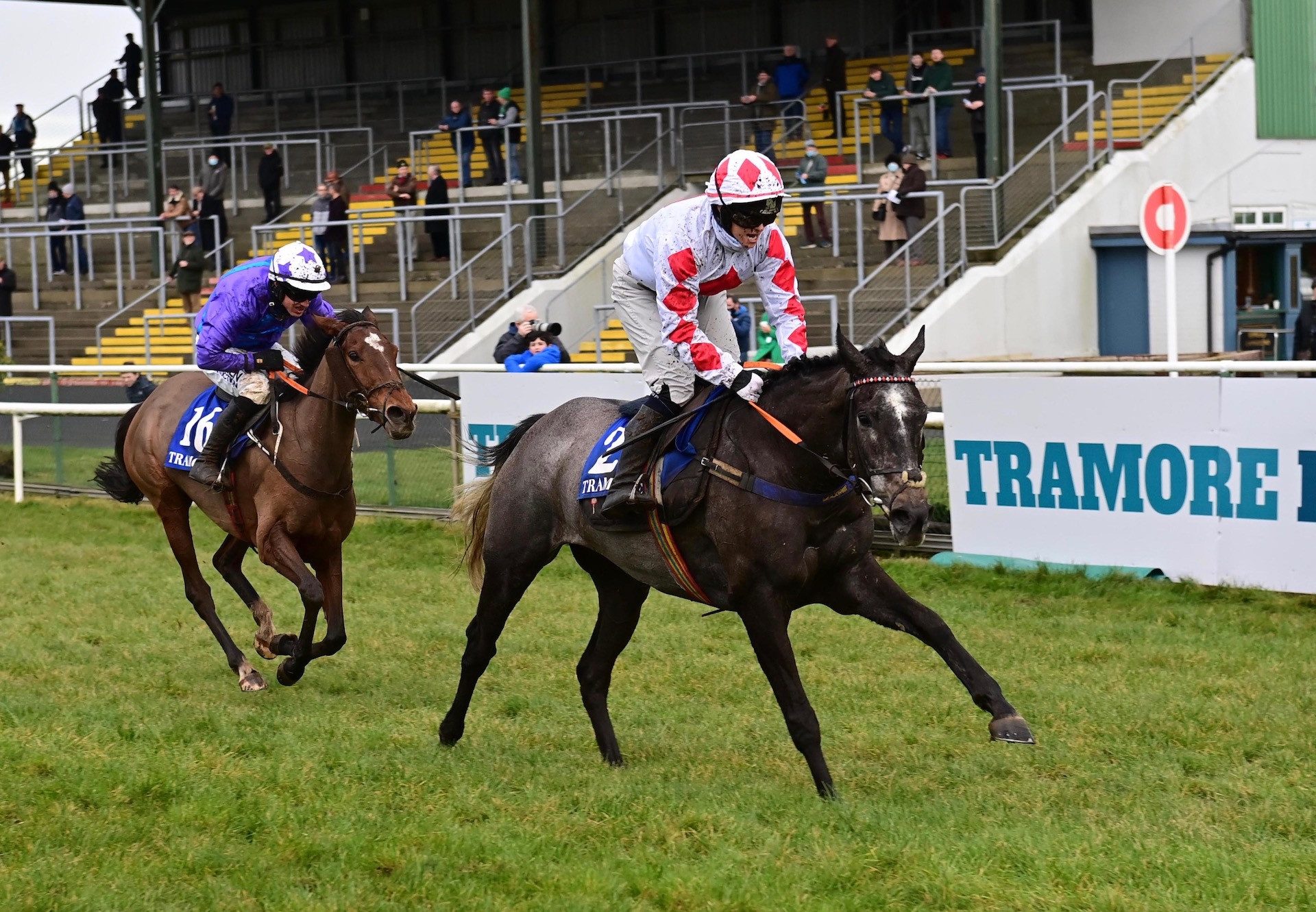 Kingston Kid (Kingston Hill) Wins At Tramore