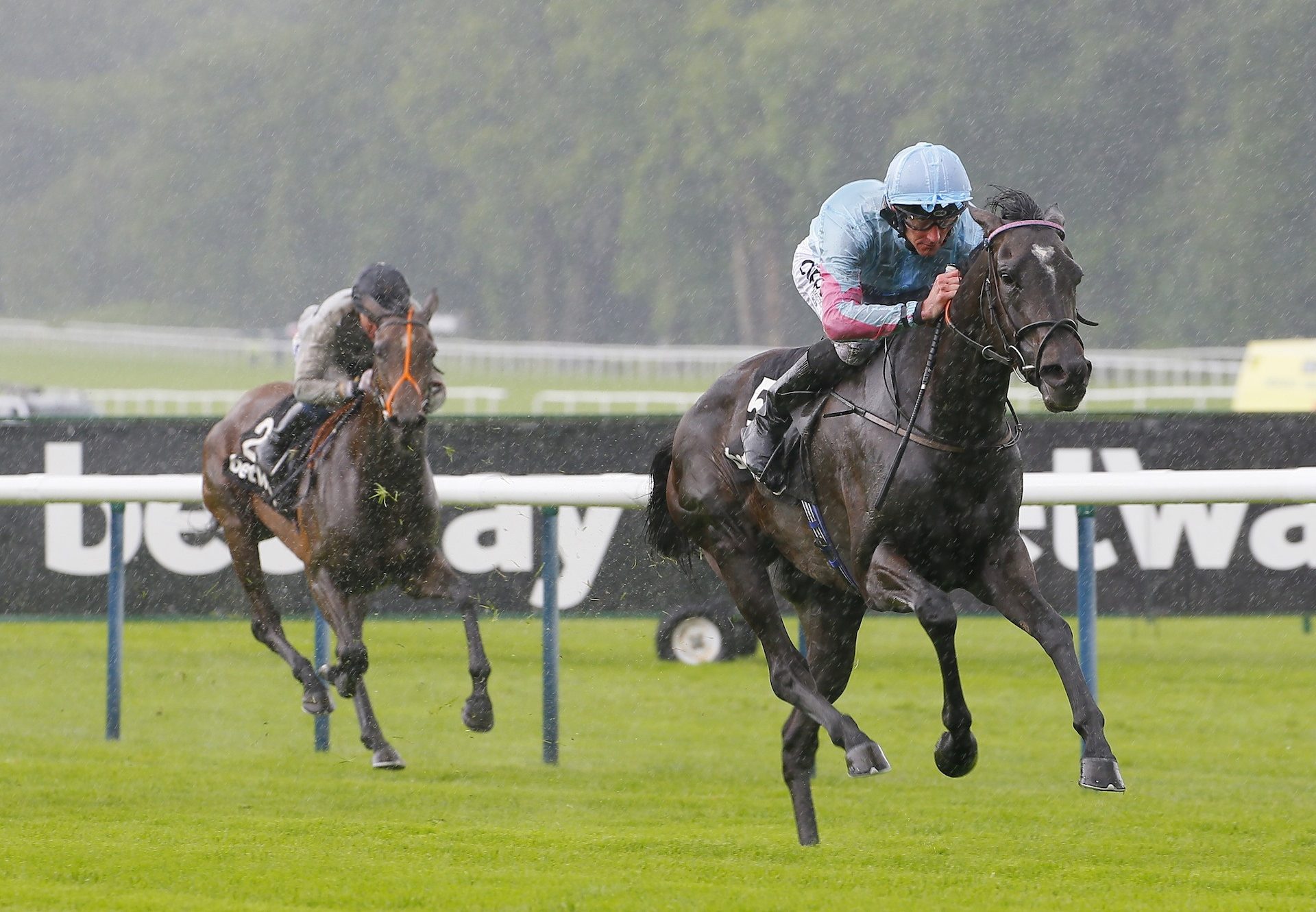 Klassique Becomes The Latest Stakes Winner By Galileo
