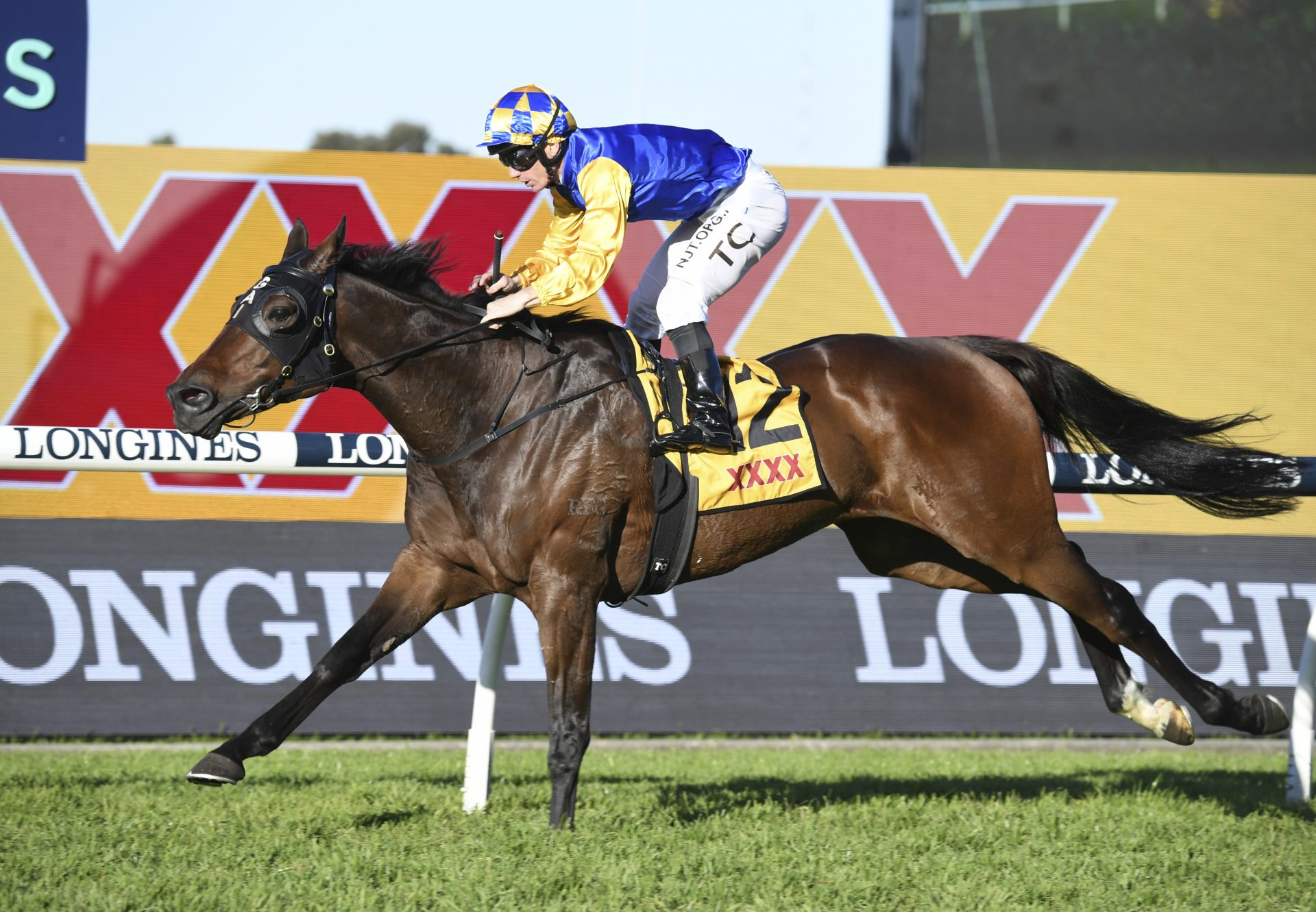 Knights Order (So You Think) wins the Listed Winter Cup at Rosehill