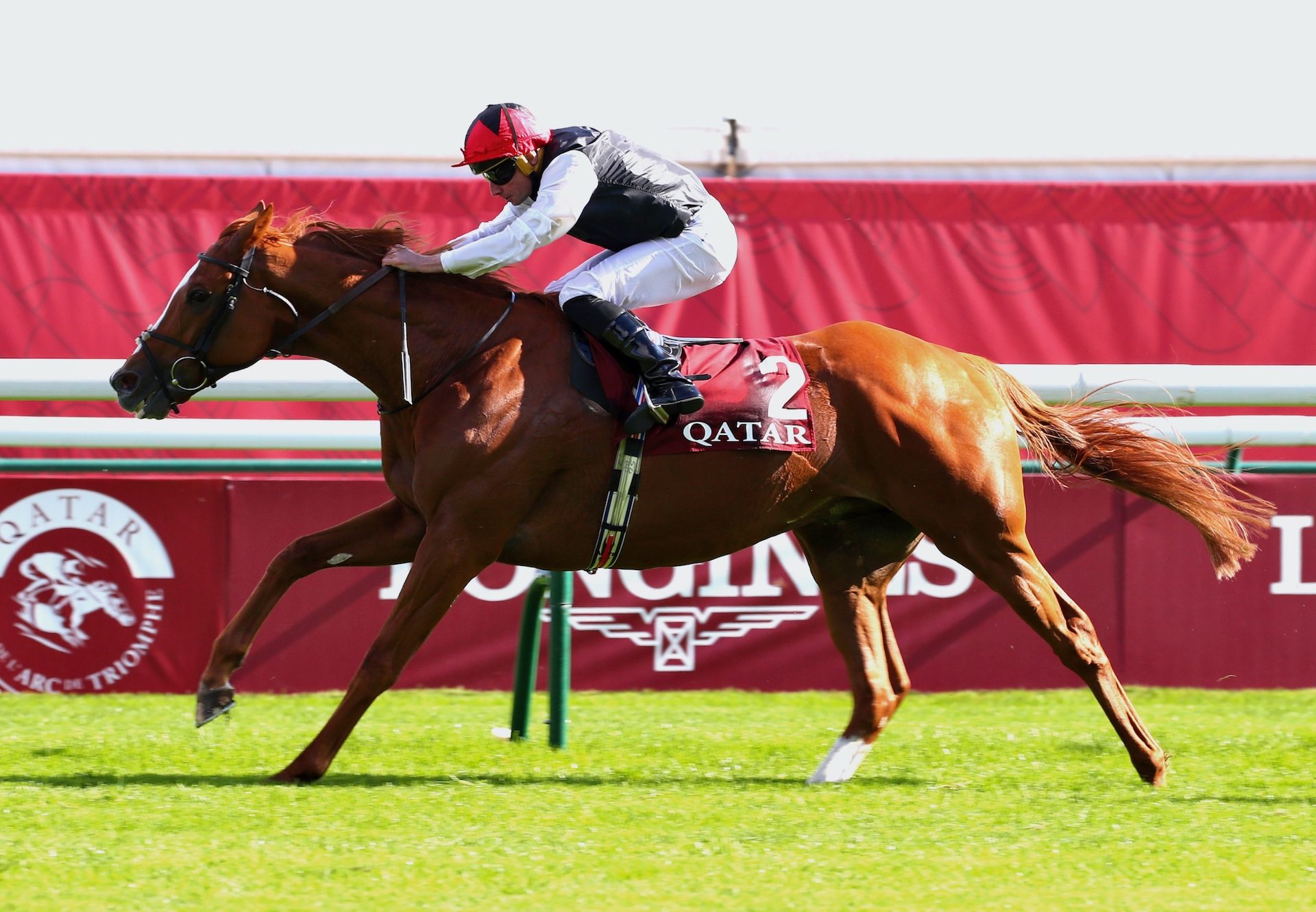 Kyprios Wins The Group 1 Prix Du Cadran 2024