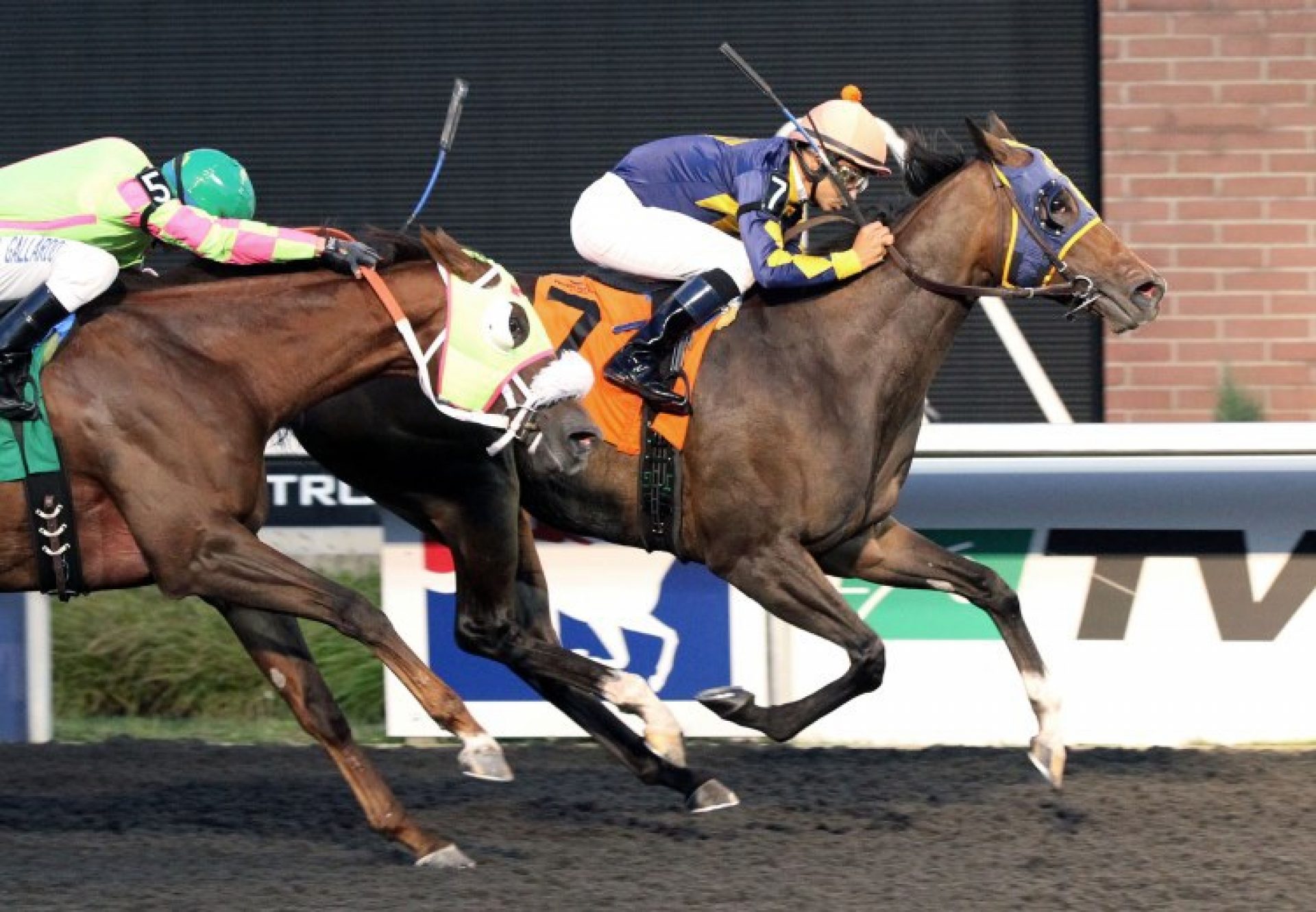 Living The Life (Footstepsinthesand) winning the Camilla Urso Stakes at Golden Gate