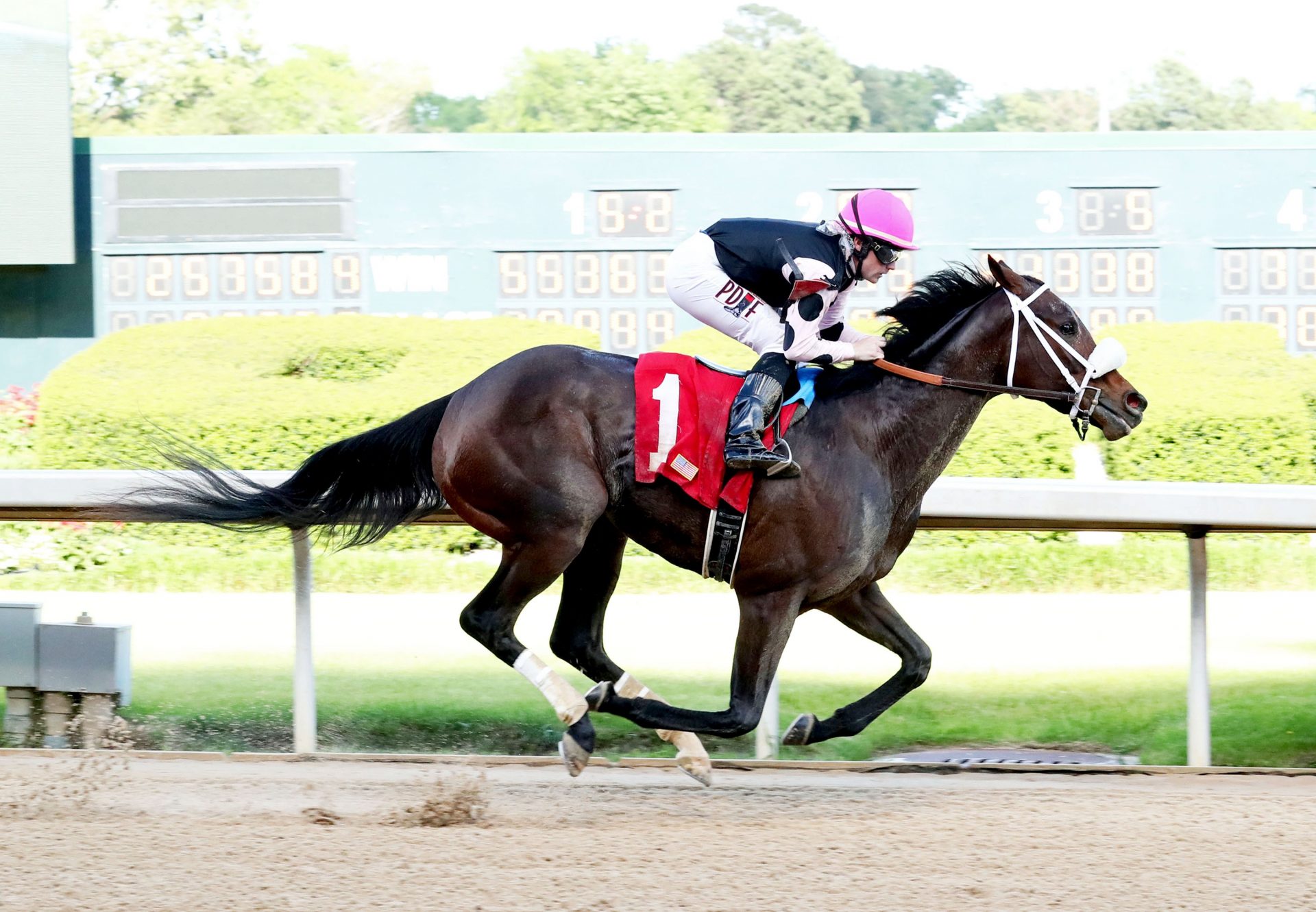 Lucky Betty (Munnings) winning Oaklawn Park Allowance