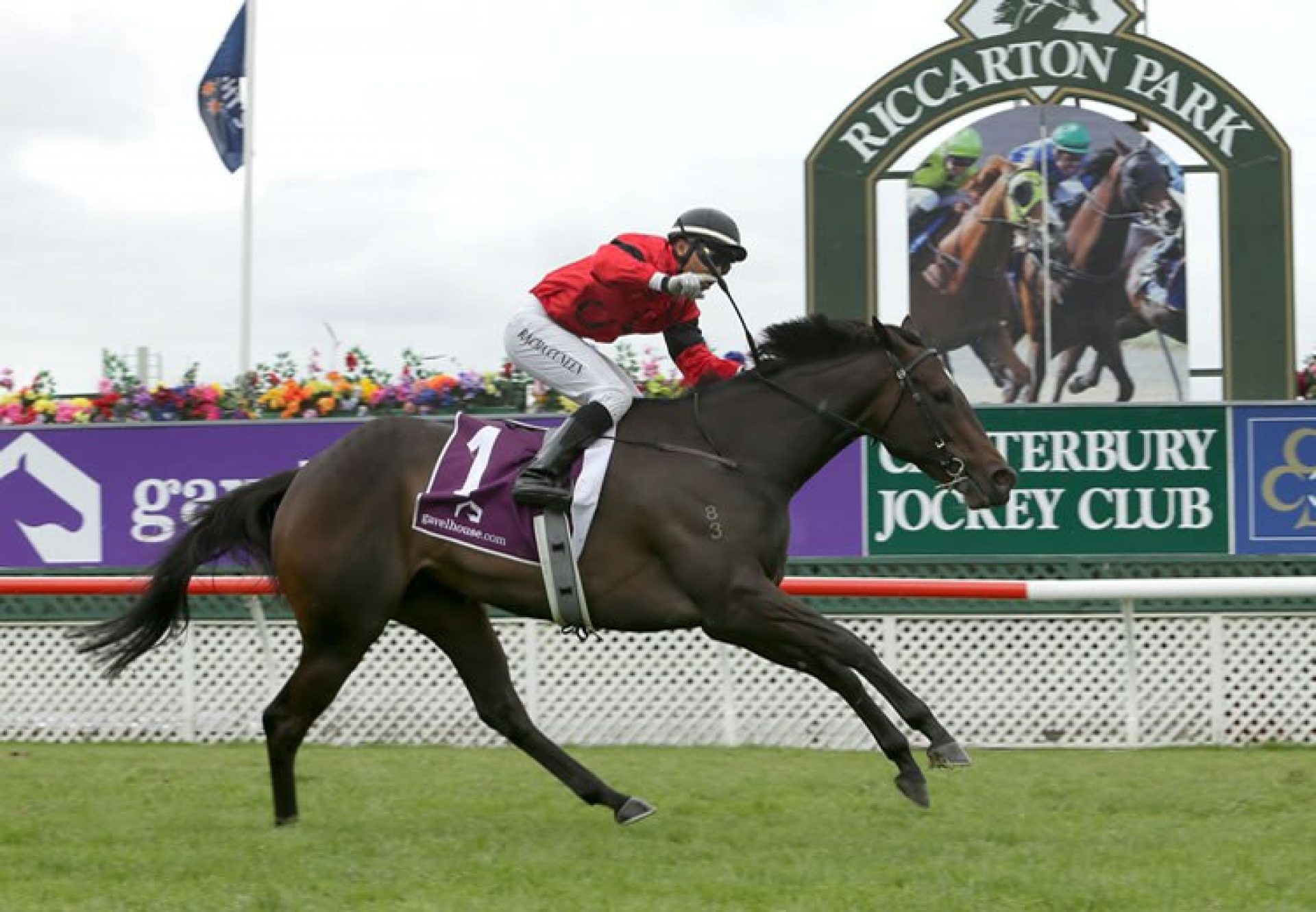 La Diosa (So You Think) winning the NZ Guineas