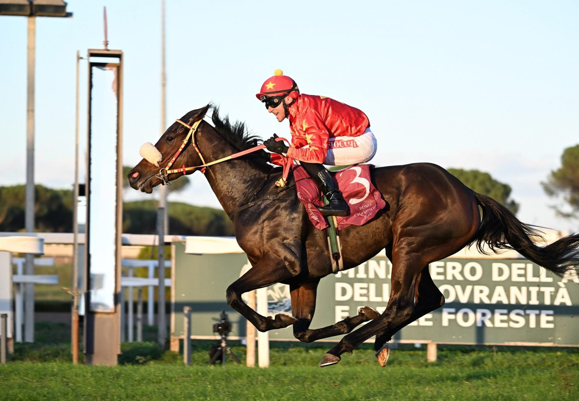 La Gite (Sioux Nation) winning the Gr.2 Premio Lydia Tesio at Capannelle