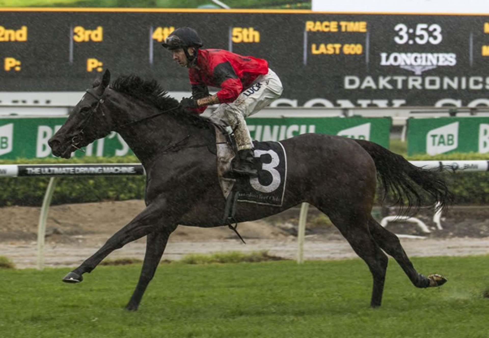 La Bella Diosa (So You Think) winning the Surround Stakes