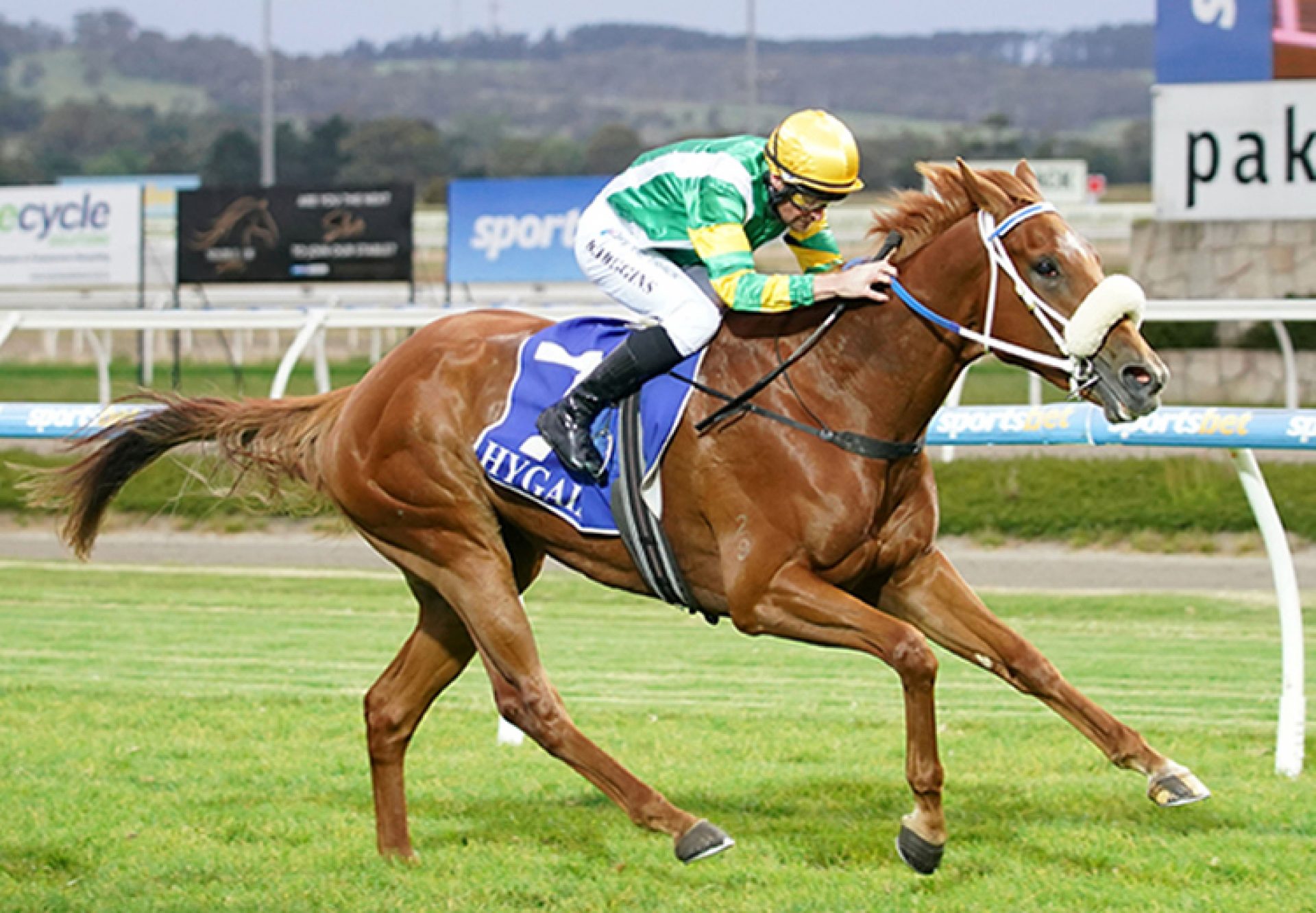 Lady Court (American Pharoah) winning at Pakenham