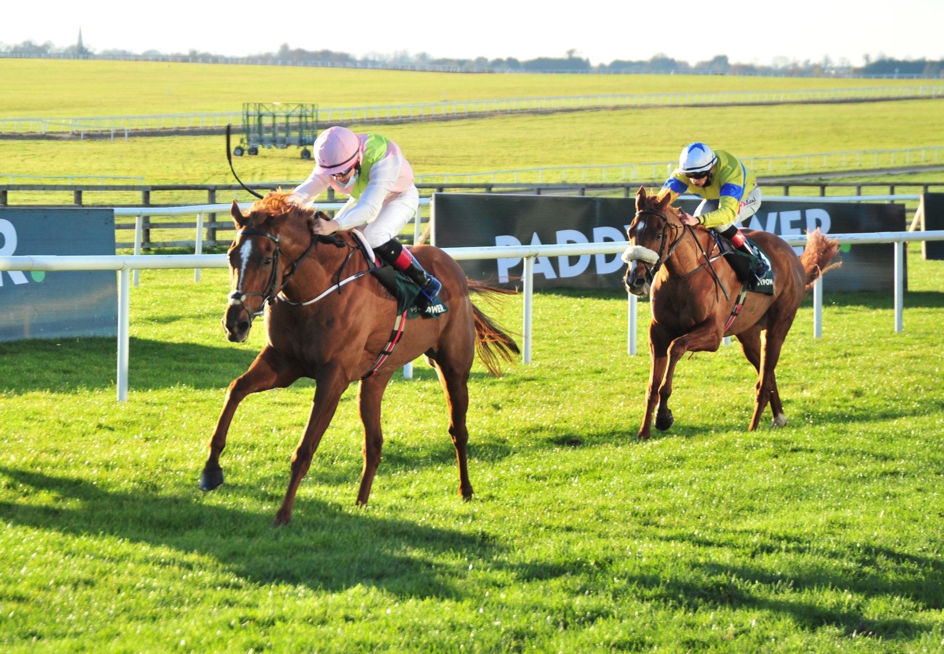 Lady Dahlia (Australia) Wins A Curragh Maiden