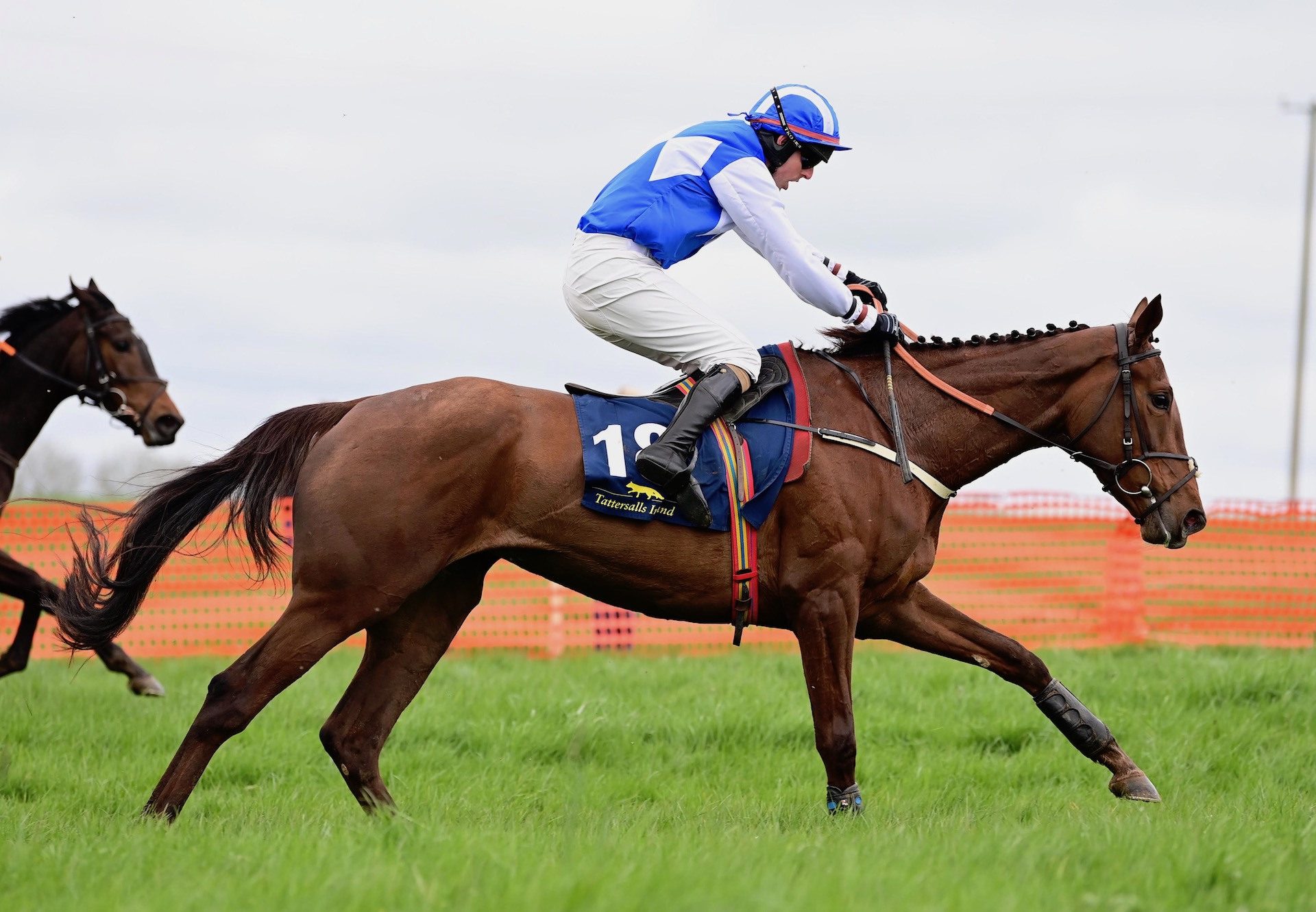 Lady Jago (Getaway) Wins The 4YO Mares Maiden at Rathcannon