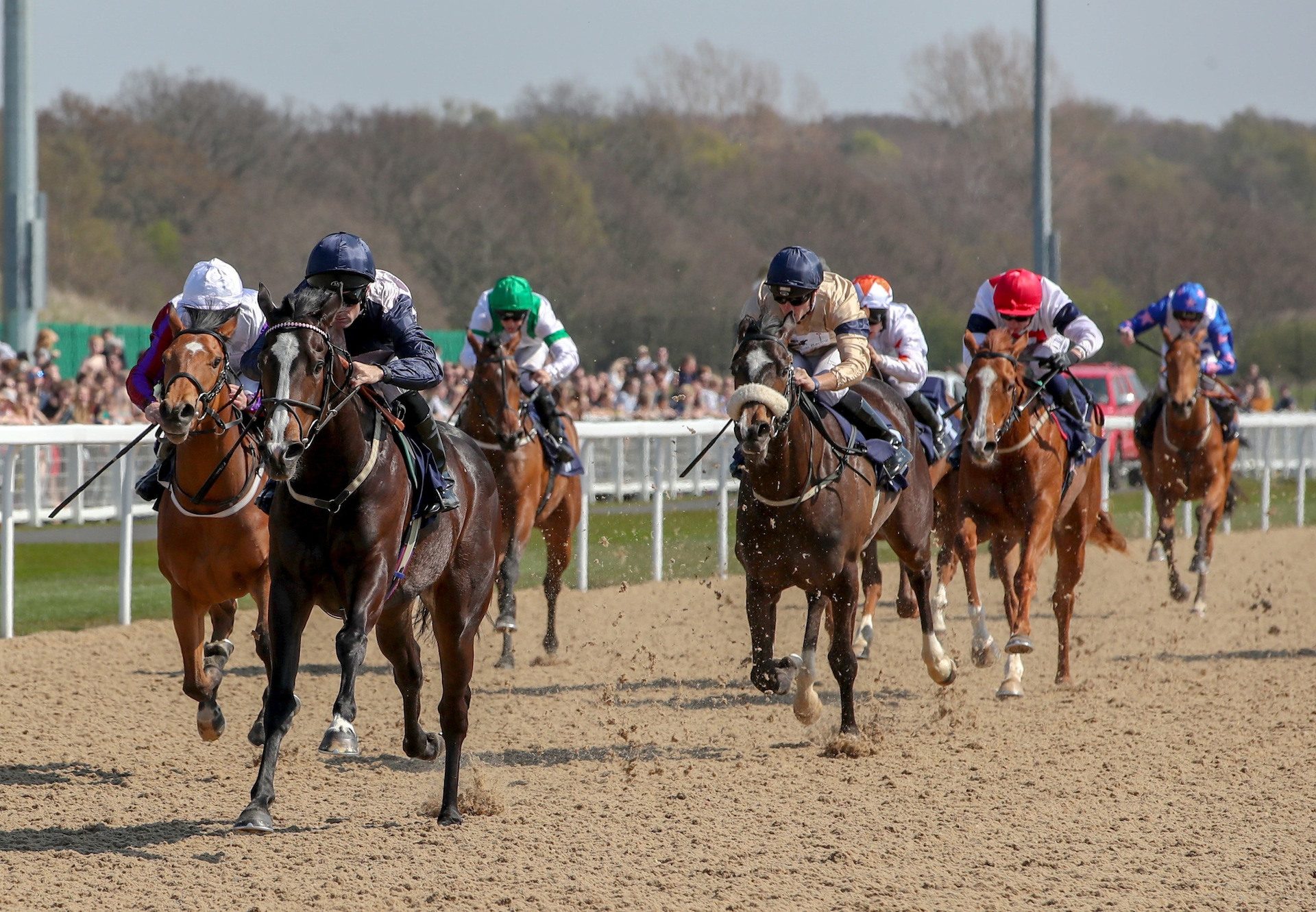 Lady Kermit (Starspangledbanner) Makes It Two From Two at Kempton