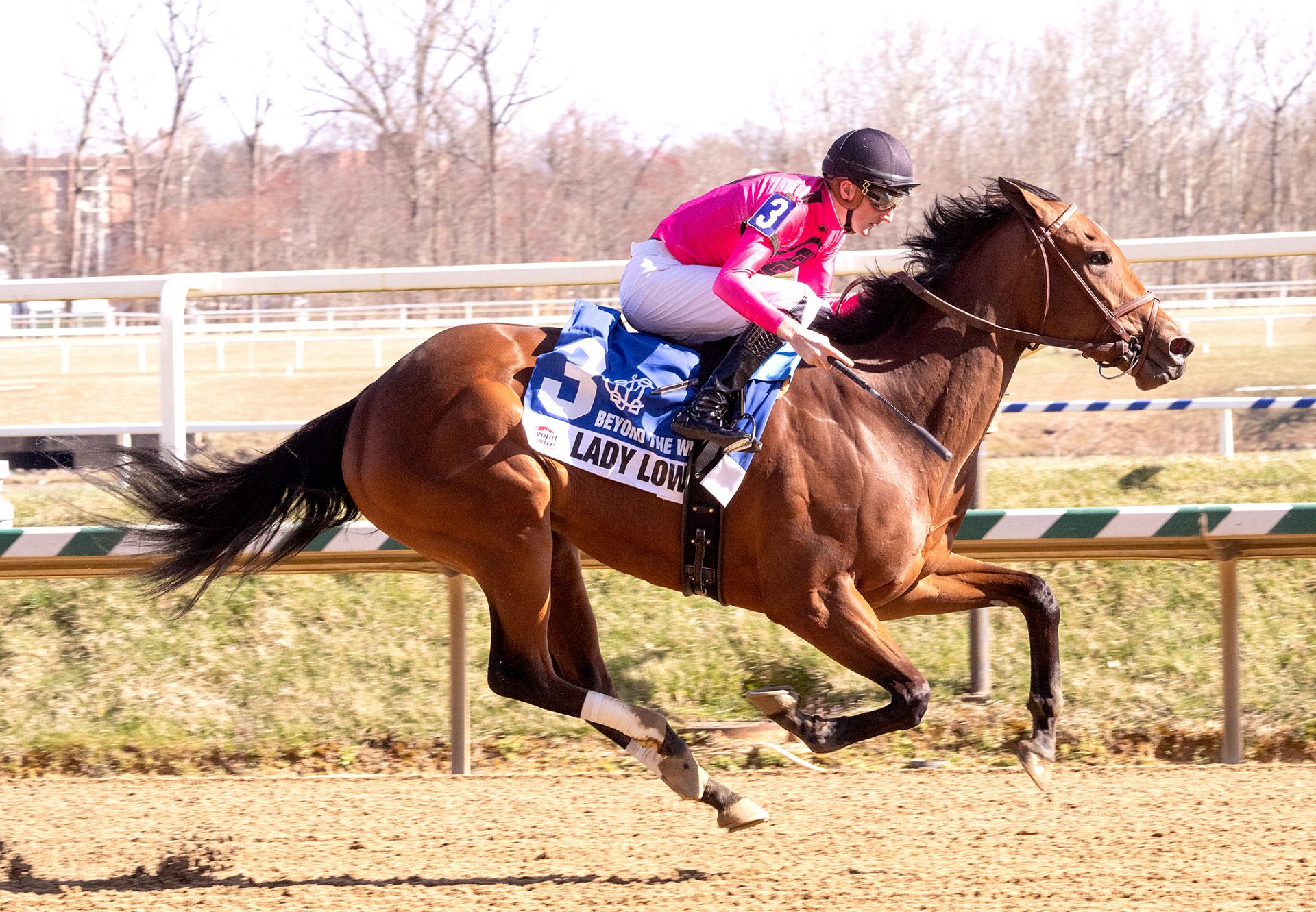 Lady Lowery (Munnings) Wins Beyond The Wire Stakes at Laurel Park