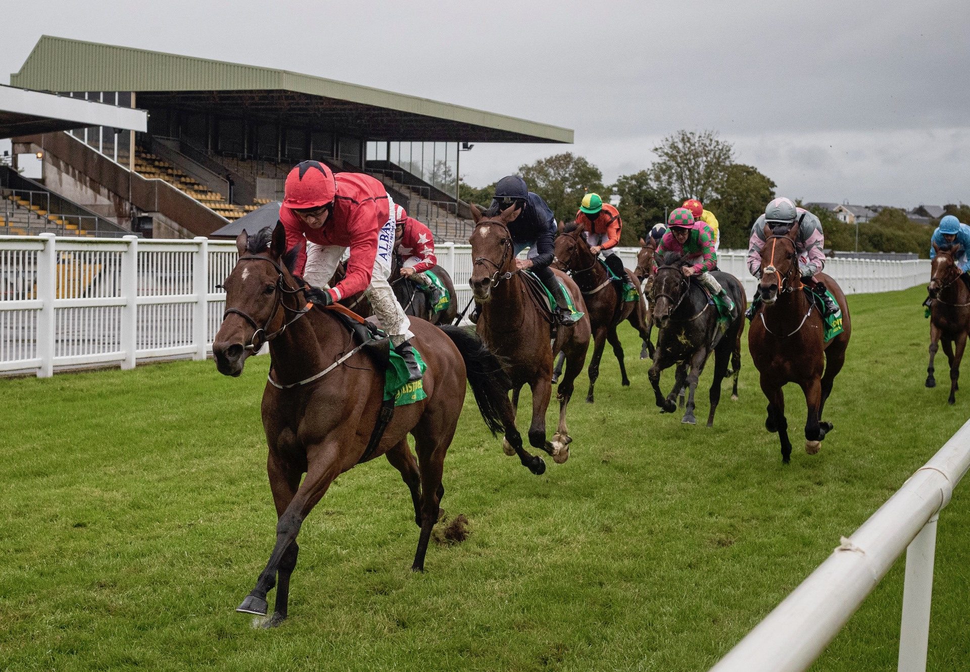 Lady Wannabe (Camelot) Wins The Listowel Stakes at Listowel