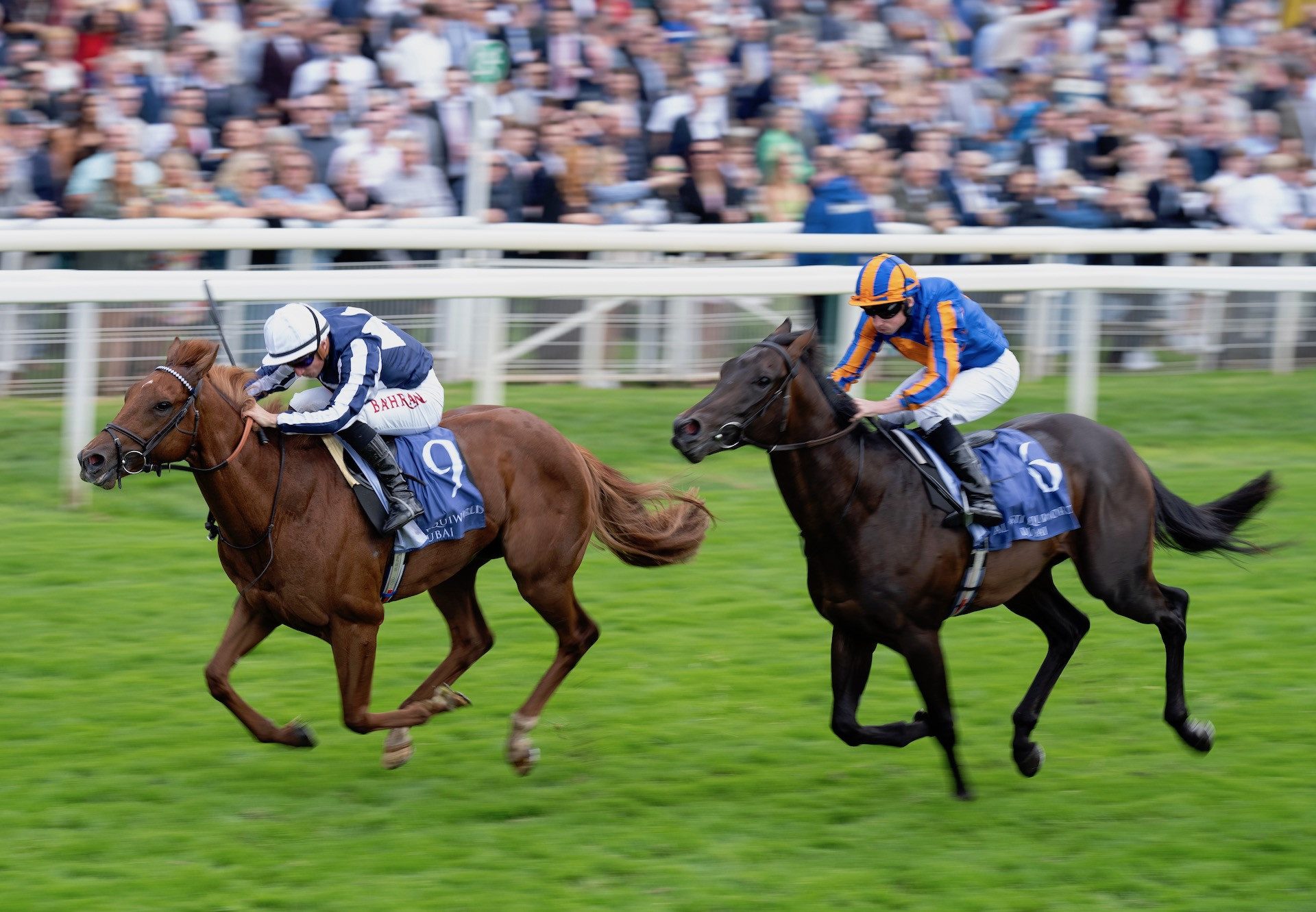 Lake Forest (No Nay Never) Wins The Group 2 Gimcrack Stakes at York