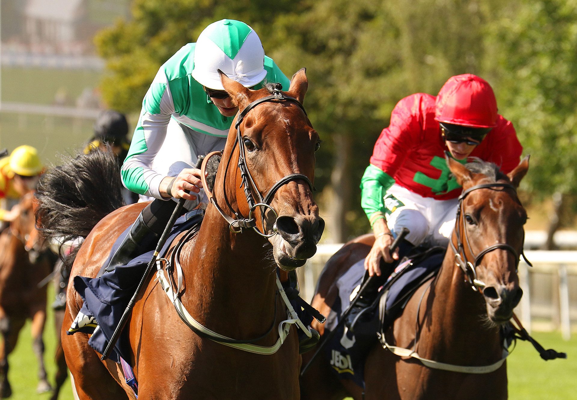 Lakota Sioux (Sioux Nation) winning the Gr.3 Sweet Solera Stakes at Newmarket