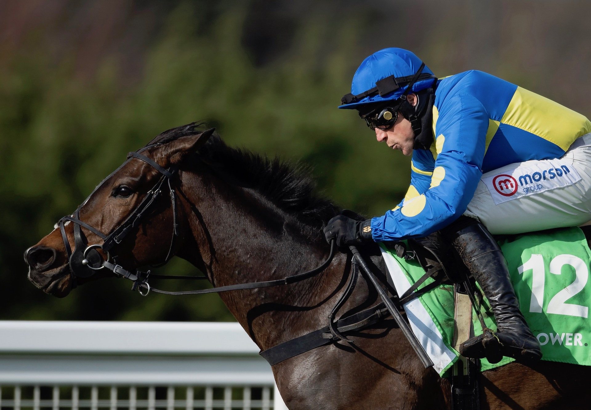 Langer Dan (Ocovango) Wins The Grade 3 Imperial Cup At Sandown