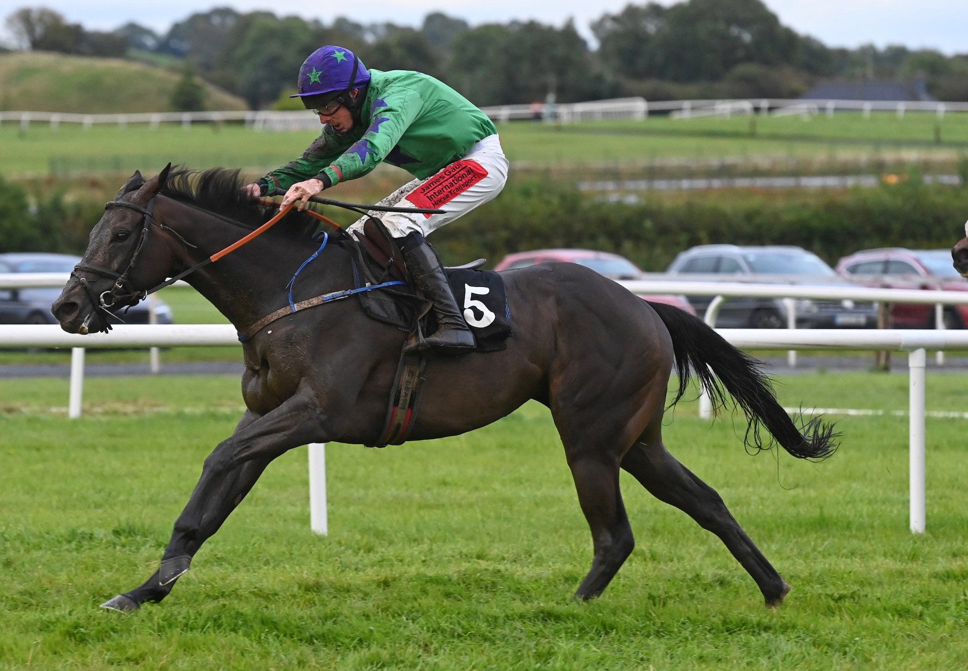 Largy Ray (Westerner) Wins The Bumper At Kilbeggan