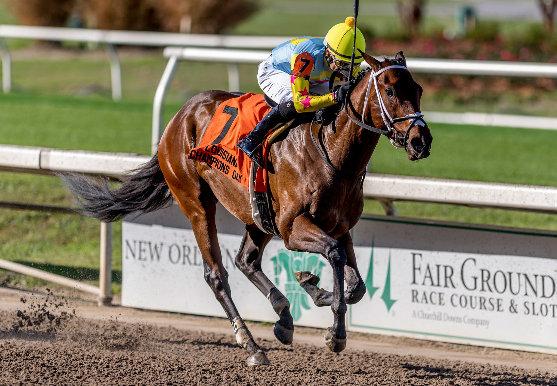 Late September (Munnings) Wins Louisiana Champions Day Juvenile