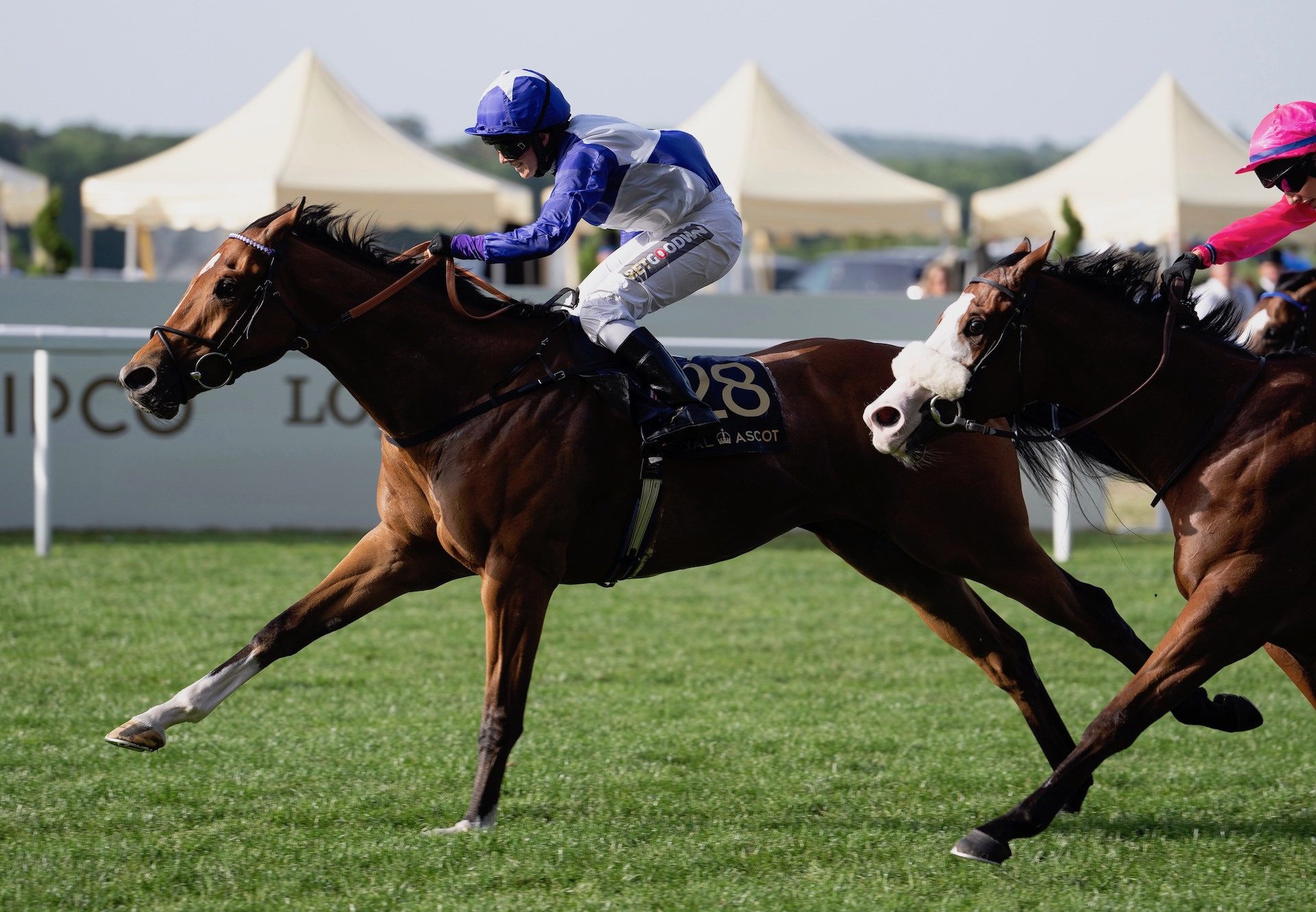 Latin Lover (Starspangledbanner) Lands The Palace Of Holyroodhouse Stakes At Royal Ascot