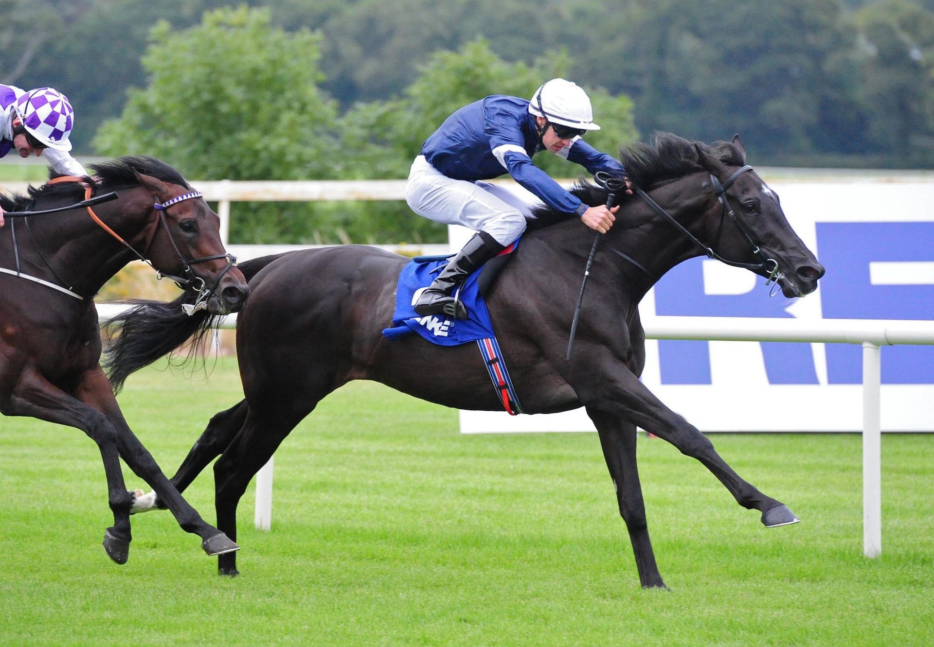 Latrobe (Camelot) winning the Gr.3 Ballyroan Stakes at Leopardstown