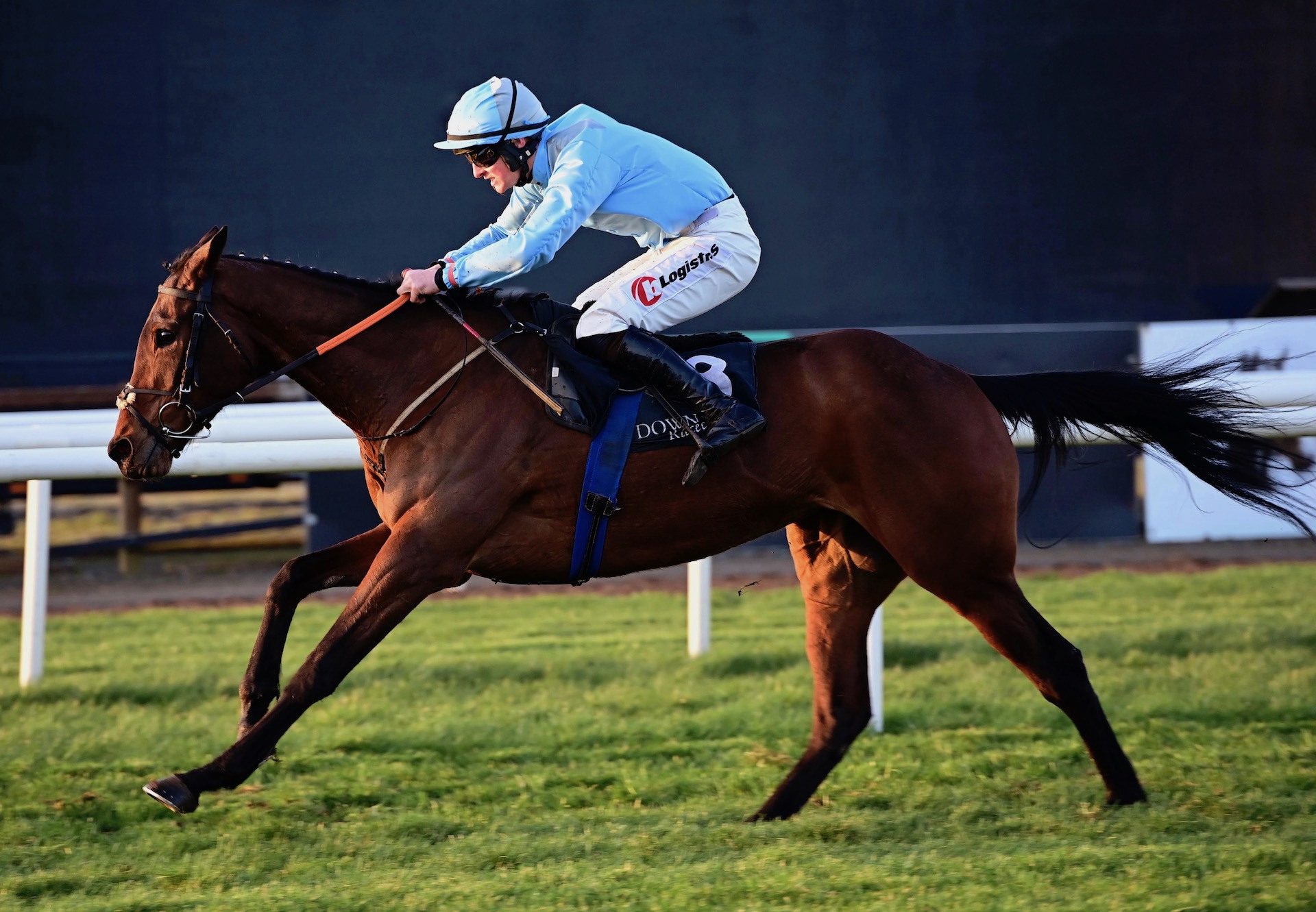 Law Ella (Yeats) Wins The Mares Bumper At Down Royal