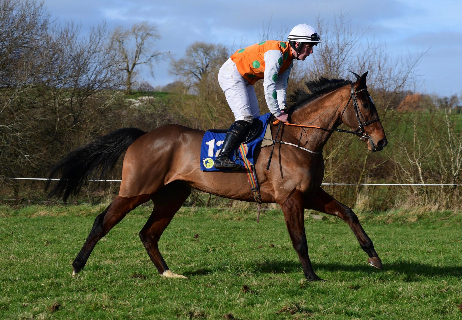 Leader In The Park (Walk In The Park) Wins At Tallow P2P