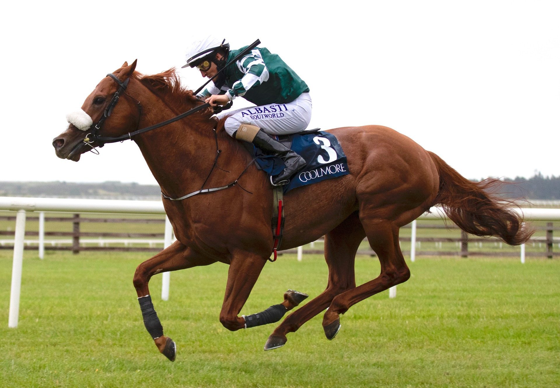 Leo De Fury (Australia) Wins The Gr.2 Mooresbridge Stakes Impressively at the Curragh