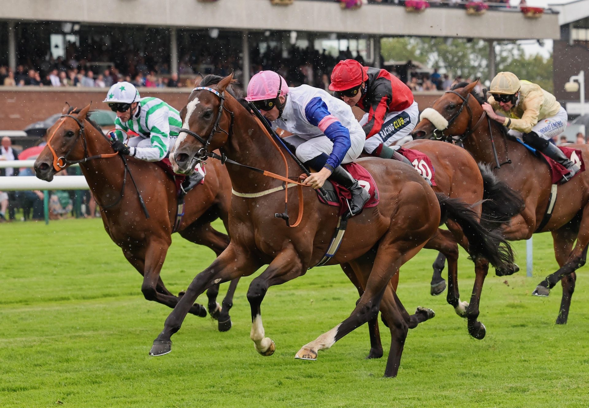 Leonardo Dax (Ten Sovereigns) Wins A Maiden At Haydock