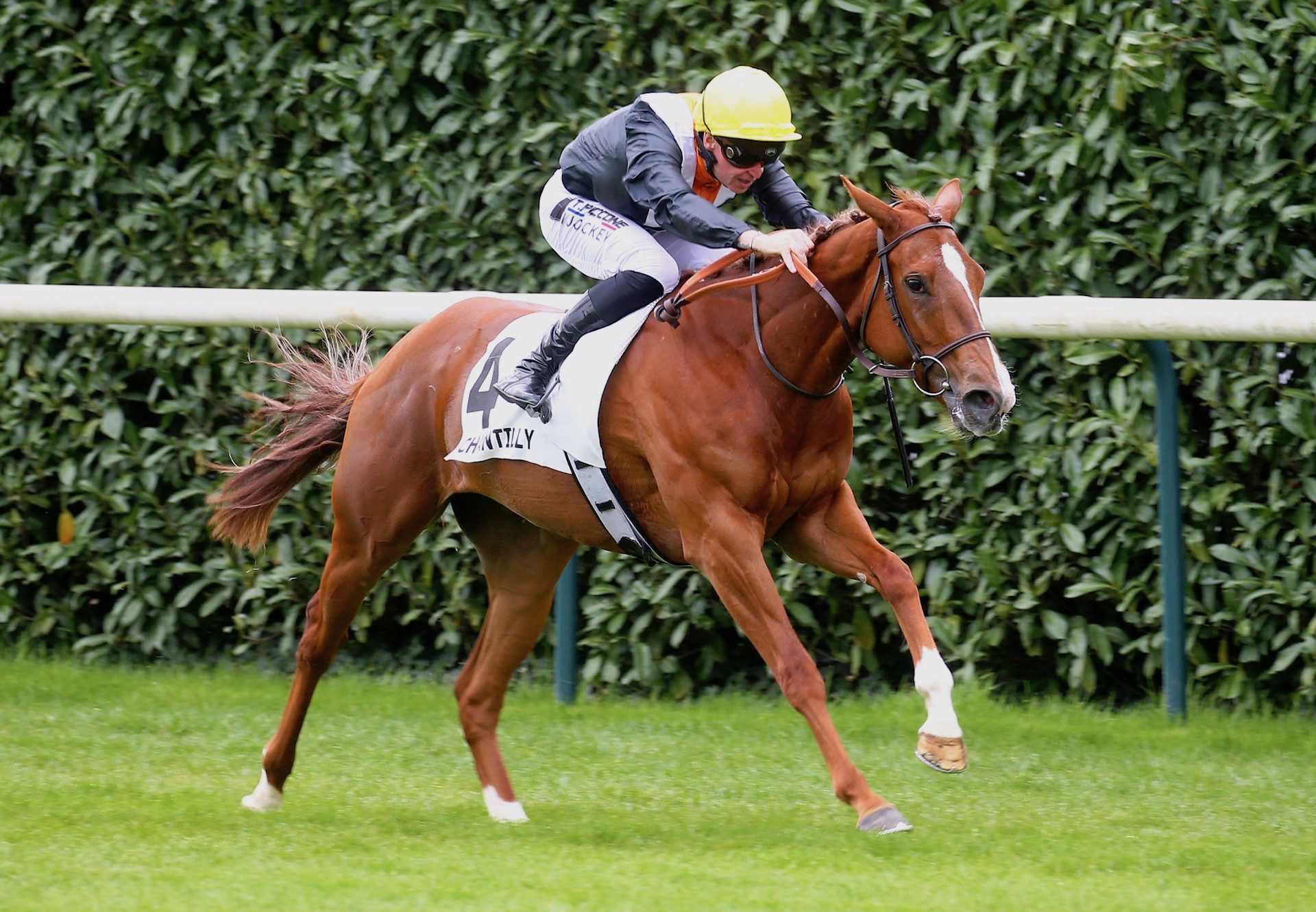 Les Pavots Impresses At Chantilly 1