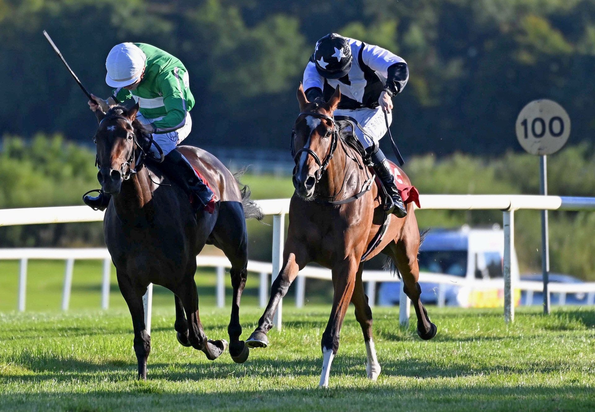 Letiza (Holy Roman Emperor) Wins Her Maiden At Gowran Park