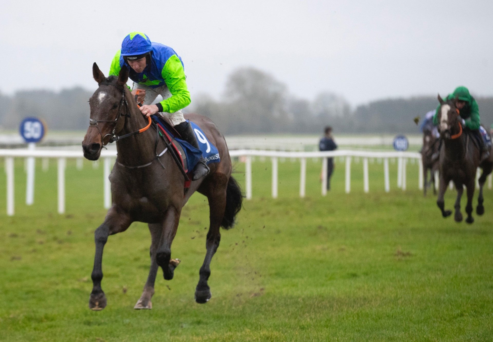 Liberty Dance (Soldier Of Fortune) Makes A Winning Debut At Fairyhouse