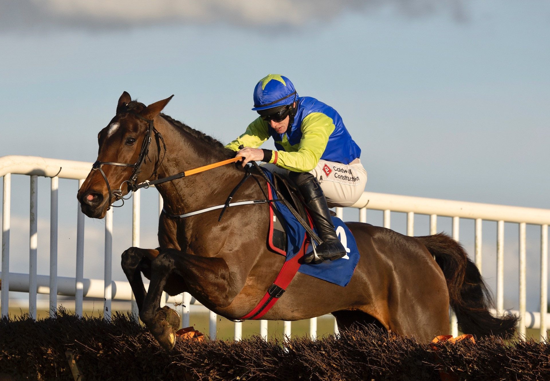Liberty Dance (Soldier Of Fortune) Wins The Mares Maiden Hurdle At Thurles