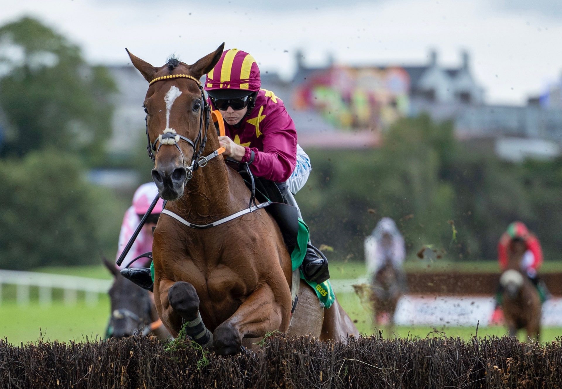 Life In The Park (Walk In The Park) Wins Chase Debut At Listowel