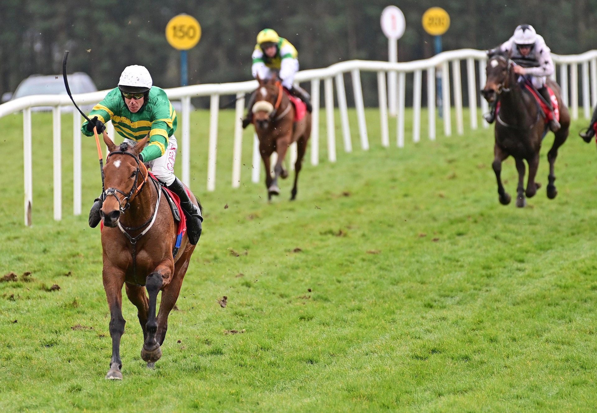 Limerick Lace (Walk In The Park) Impresses On Debut At Punchestown