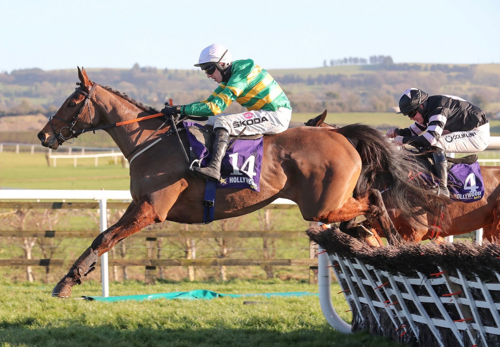 Limerick Lace (Walk In The Park) Wins The Mares Maiden Hurdle At Punchestown