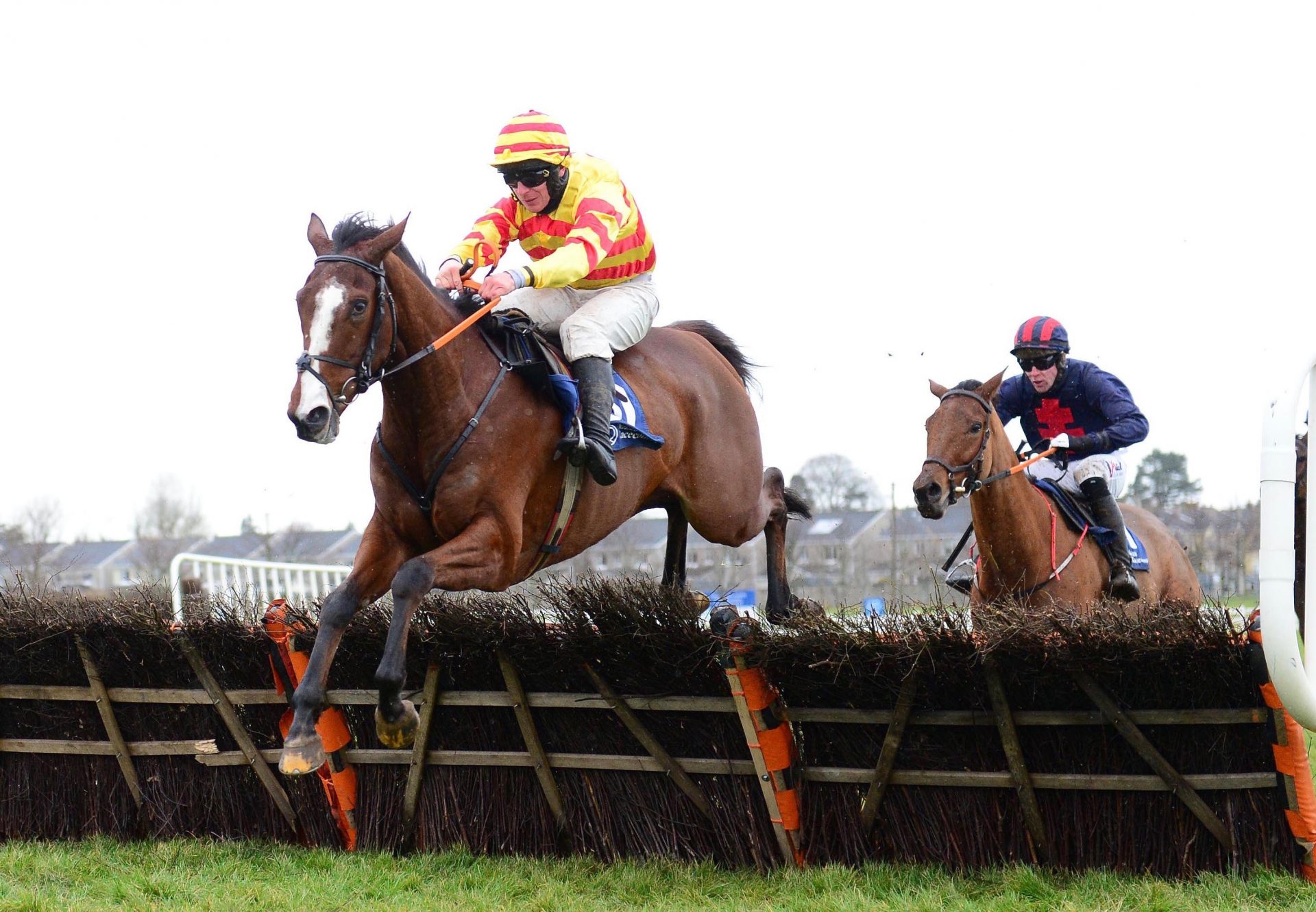 Limestone Rock (Leading Light) Wins The Maiden Hurdle At Naas