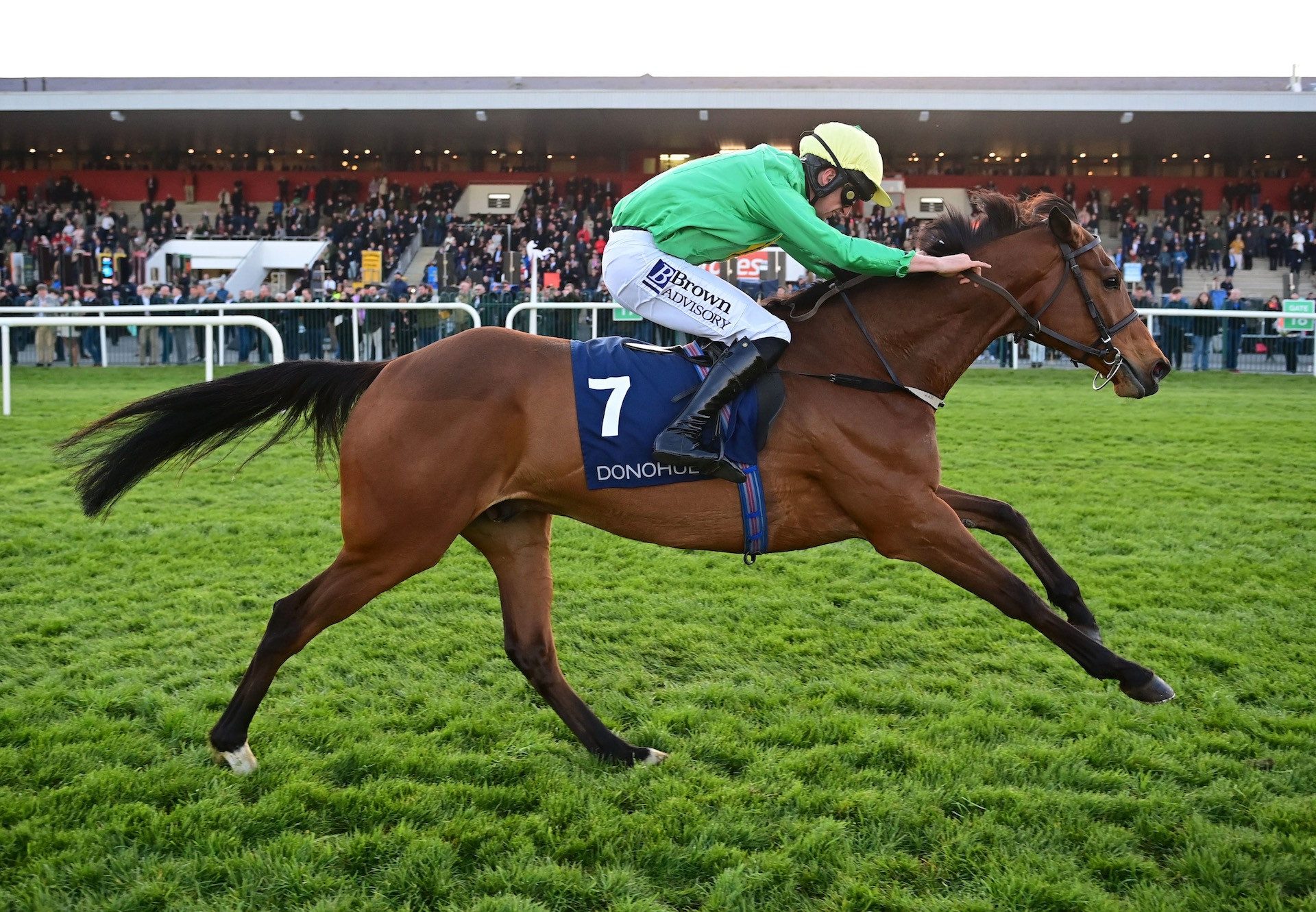 Lisnagar Fortune (Soldier Of Fortune) Makes A Winning Debut At Punchestown