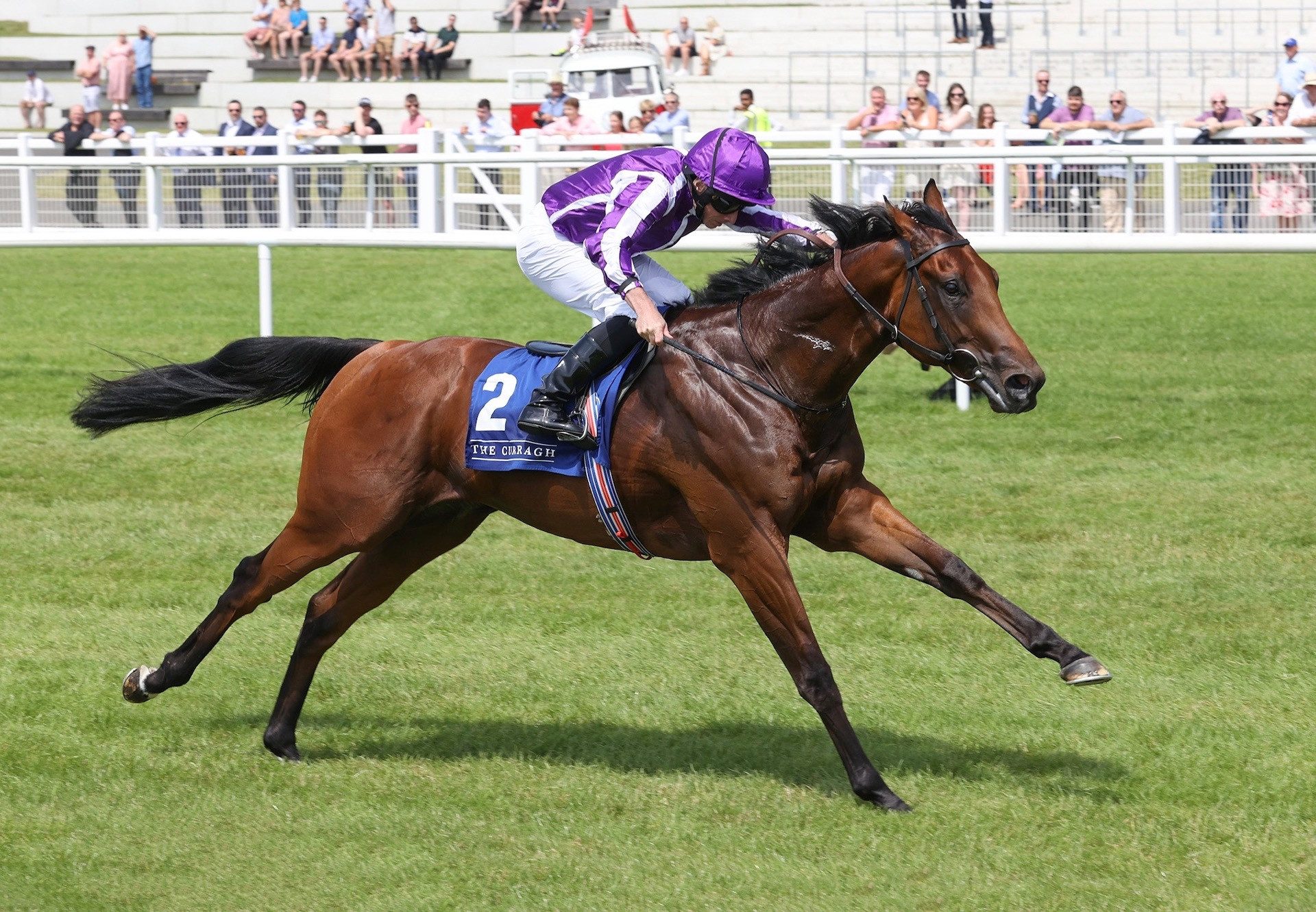 Little Big Bear (No Nay Never) Impresses In The Group 3 Anglesey Stakes at the Curragh