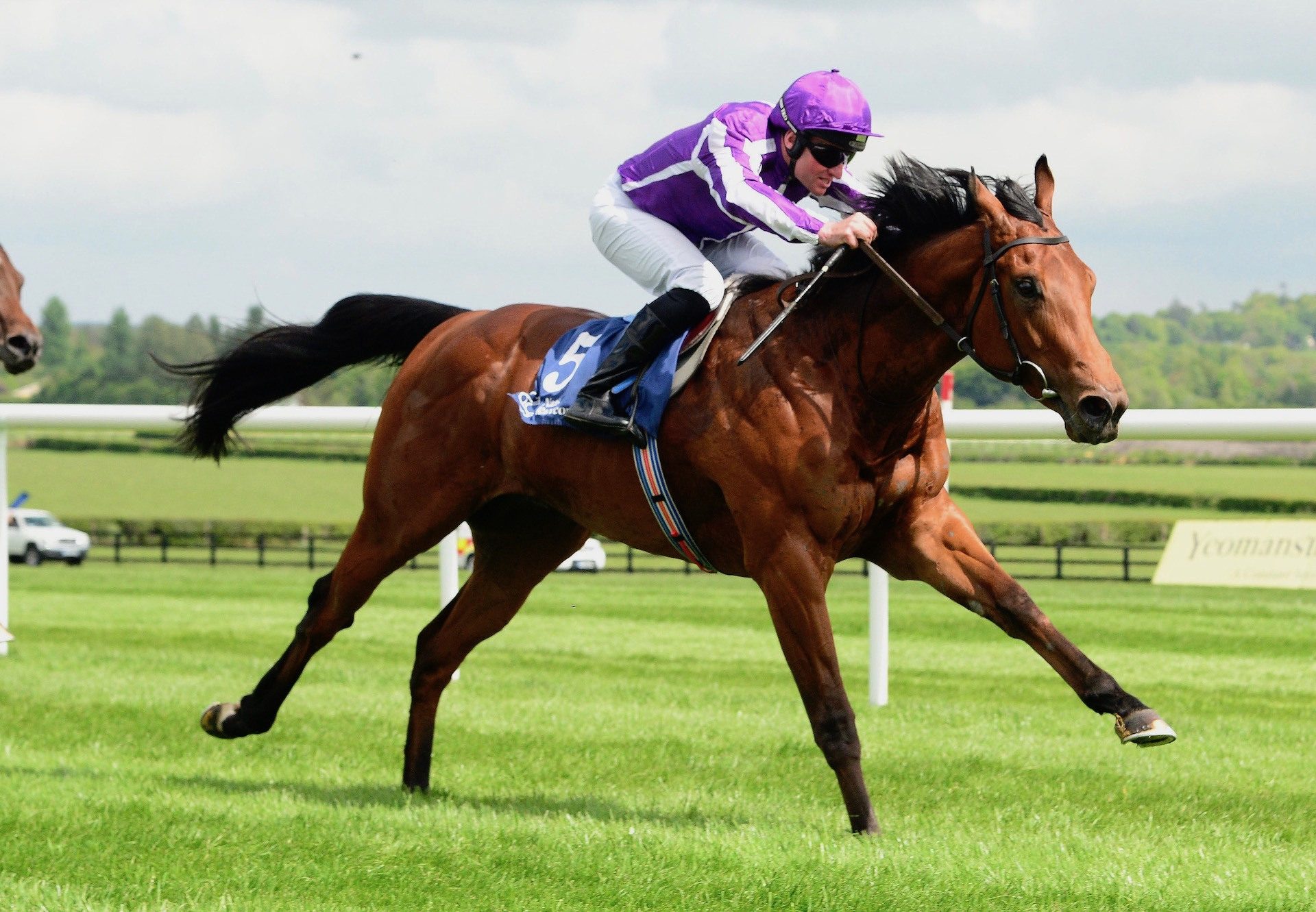 Little Big Bear (No Nay Never) Impresses At Naas