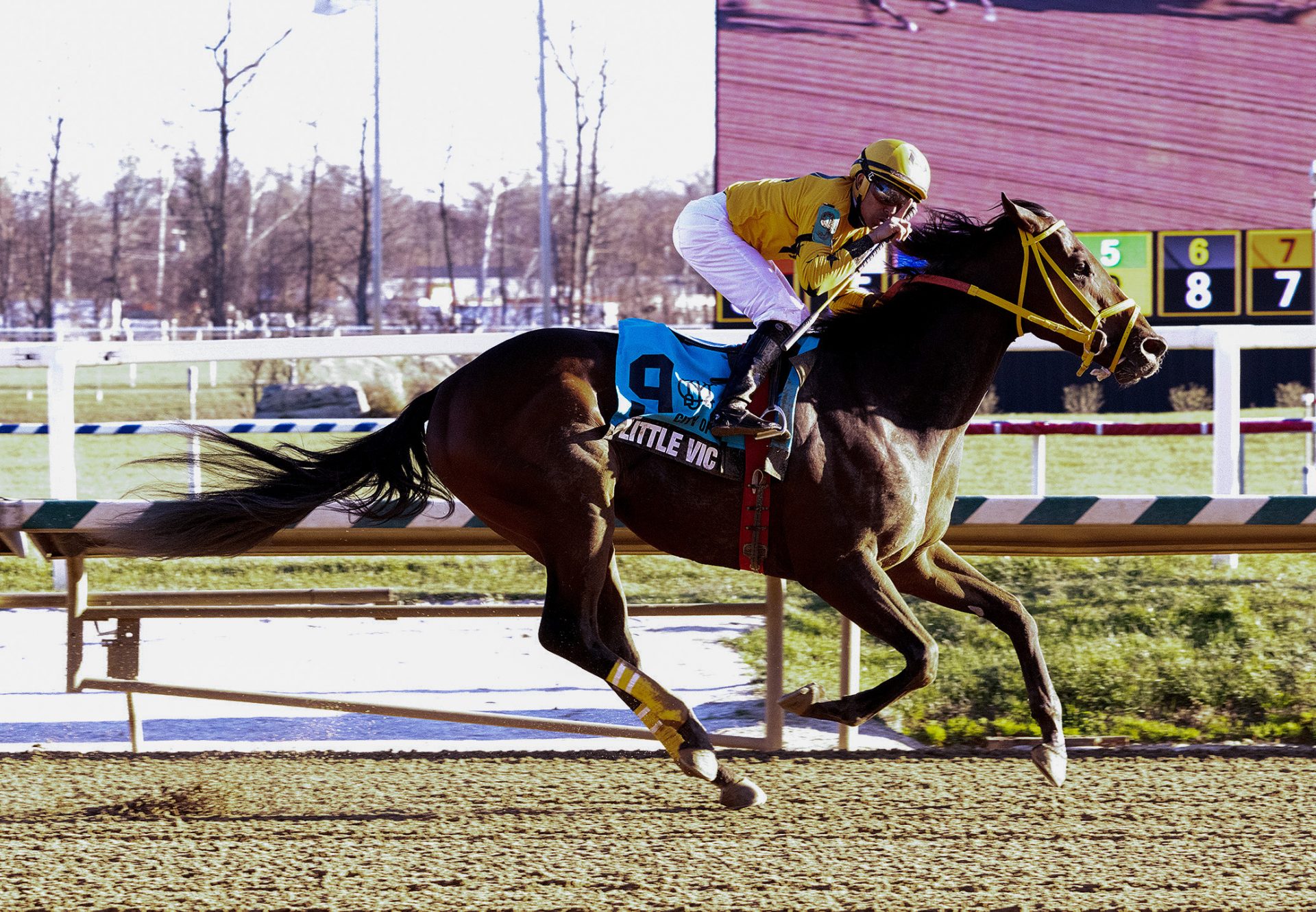 Little Vic (Practical Joke) Winning the City Of Laurel at Laurel Park