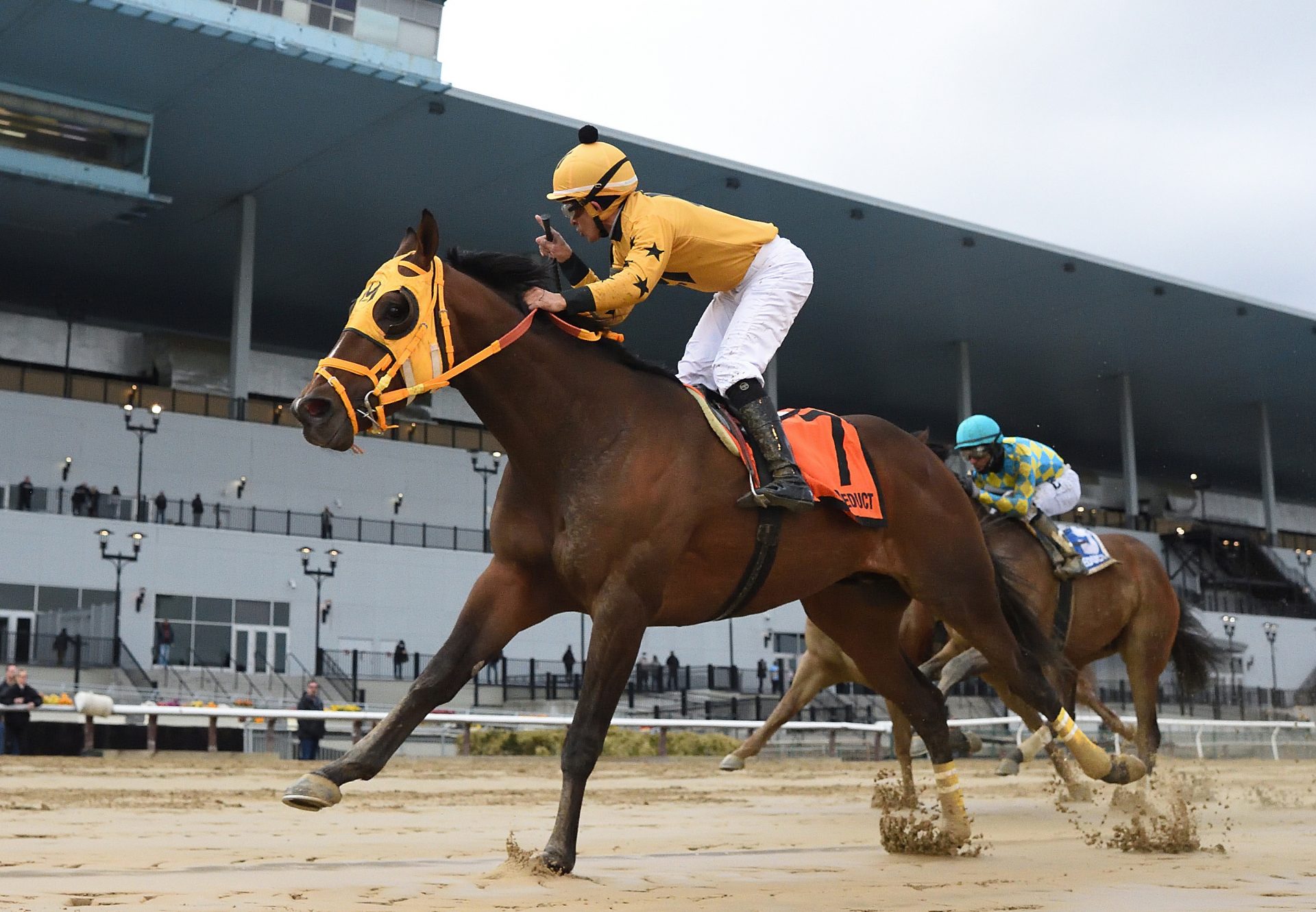 Little Vic (Practical Joke) Wins The Gr.3 Tom Fool Handicap at Aqueduct