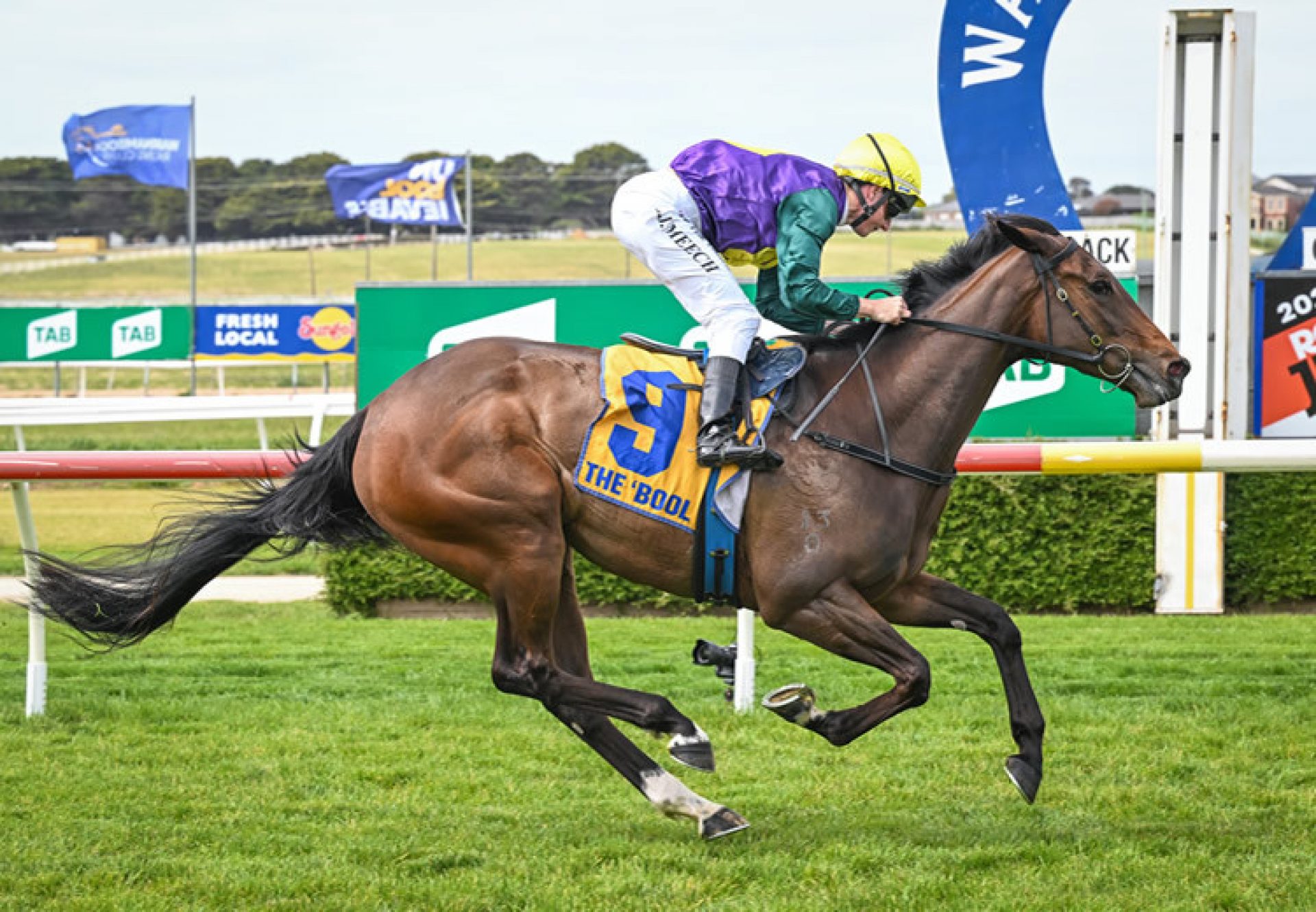 Lively (Pierro) winning at Warrnambool