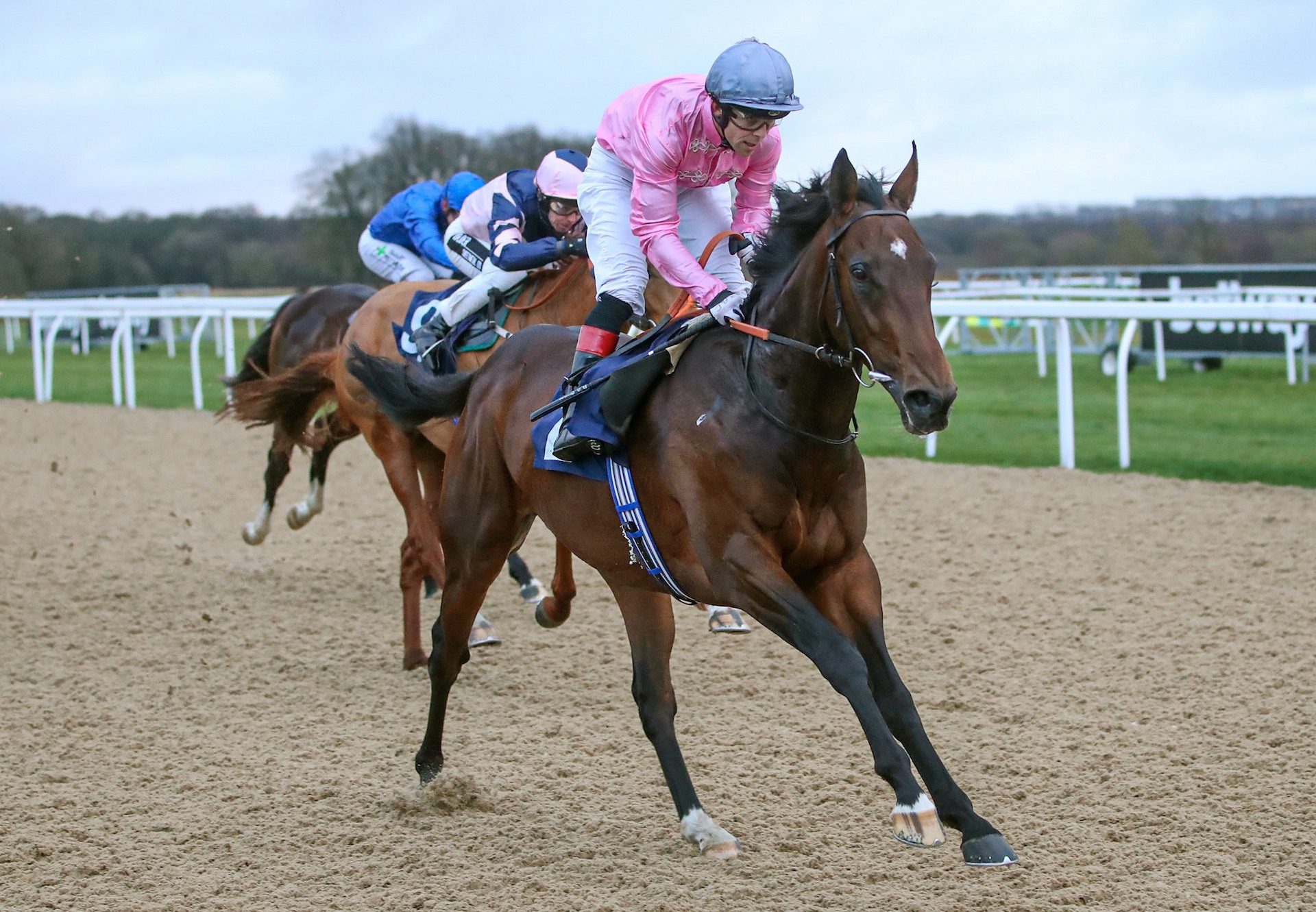 London Arch Becomes The Latest Winner By Fastnet Rock