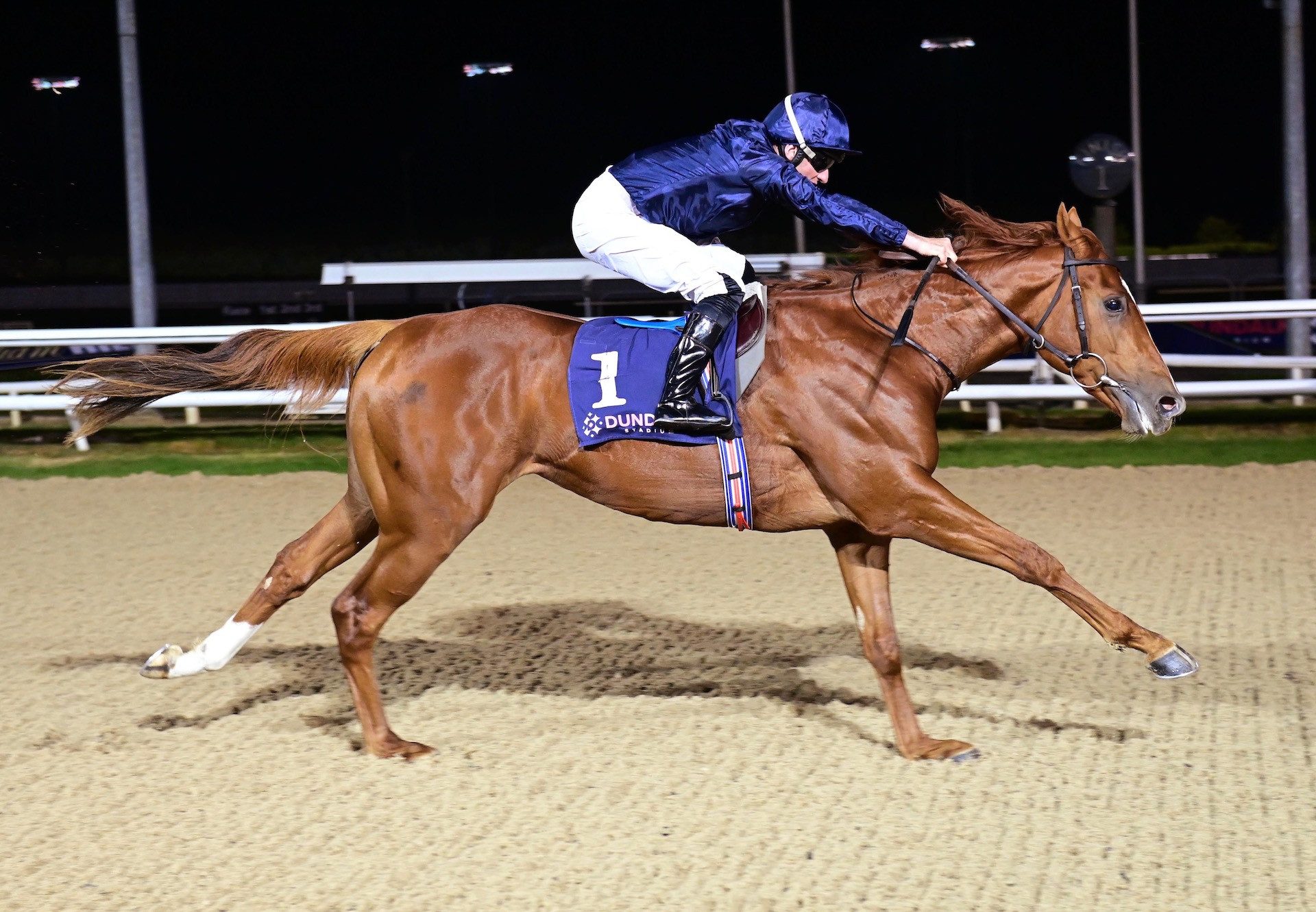 Londoner (Saxon Warrior) Wins His Maiden At Dundalk